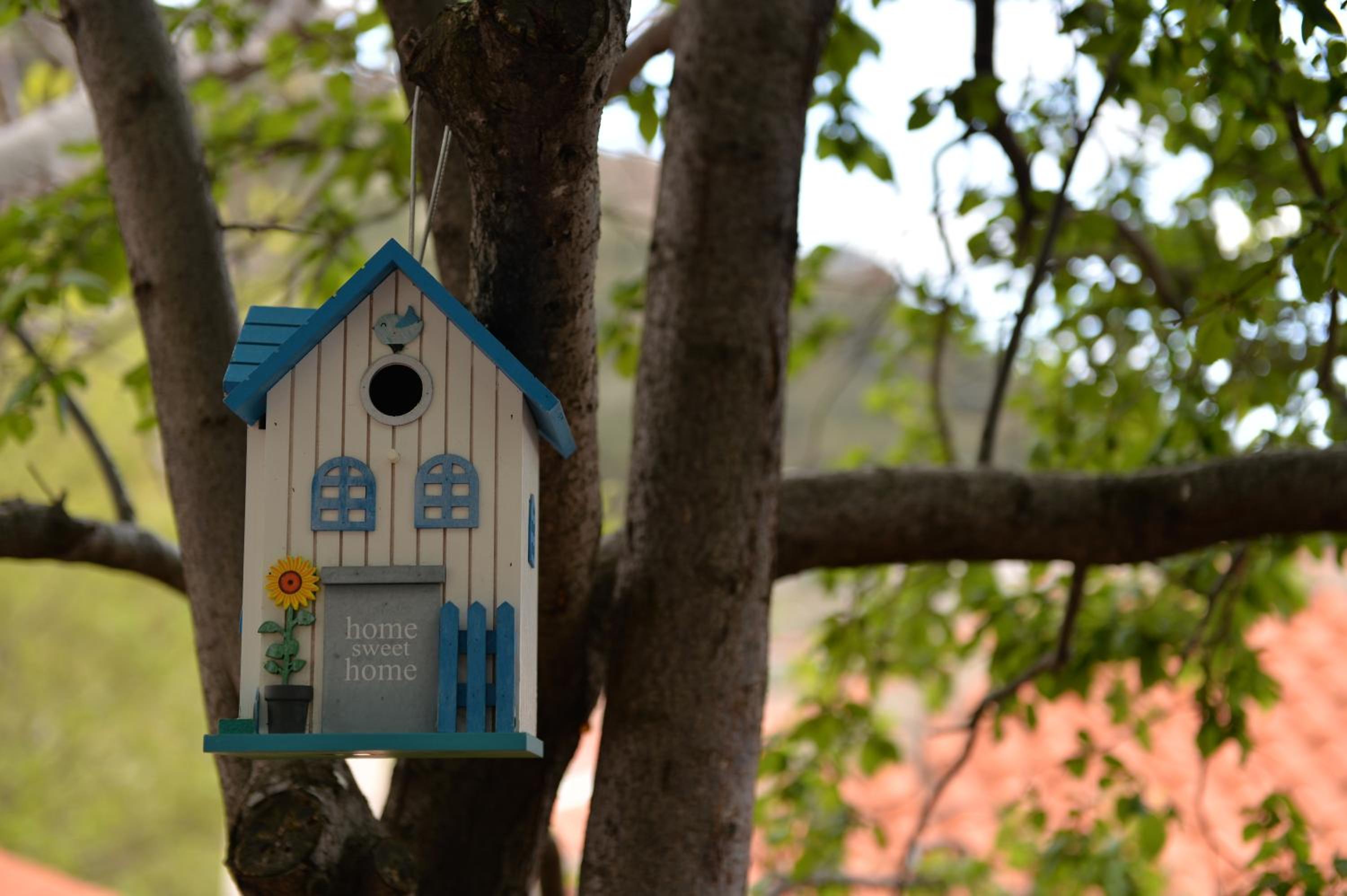 The Fig Tree House en Samothráki