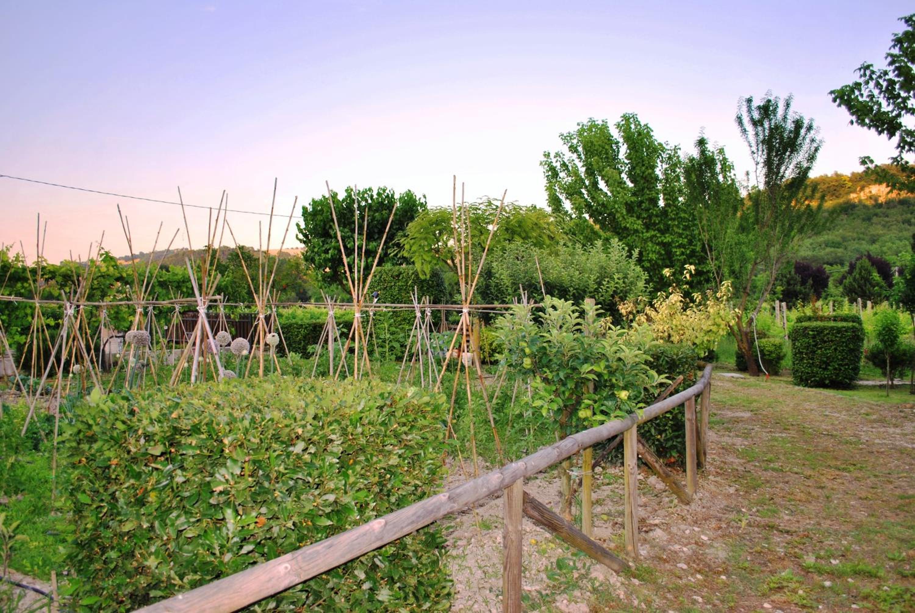 Photo 23