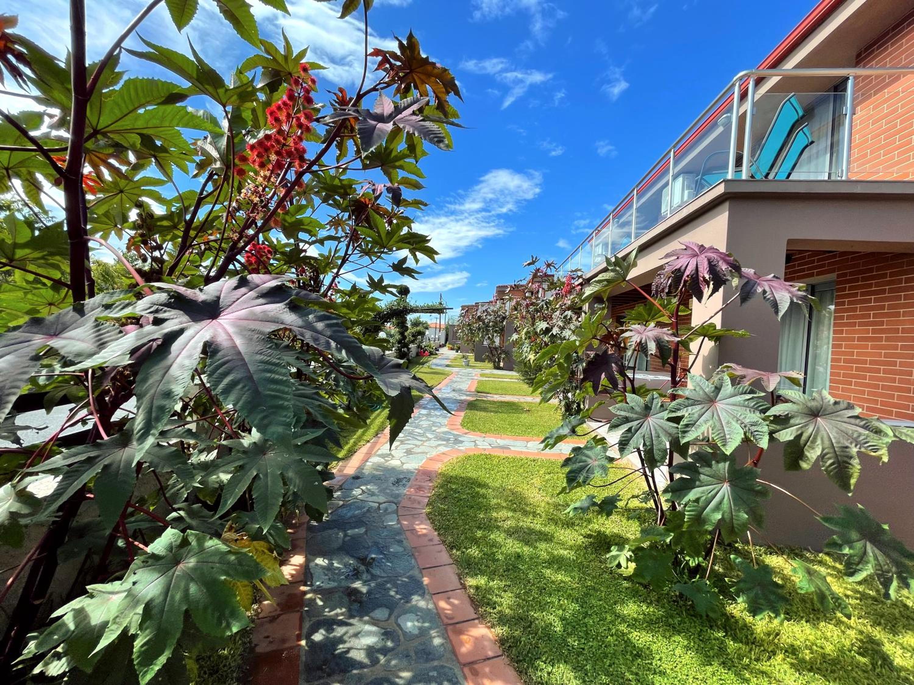 Village Mare Residences view 4