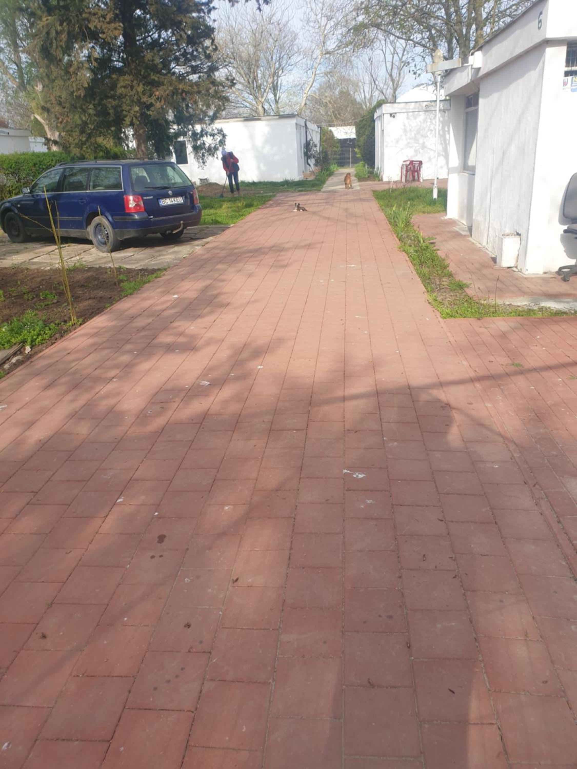 Casute de piatra Costinești