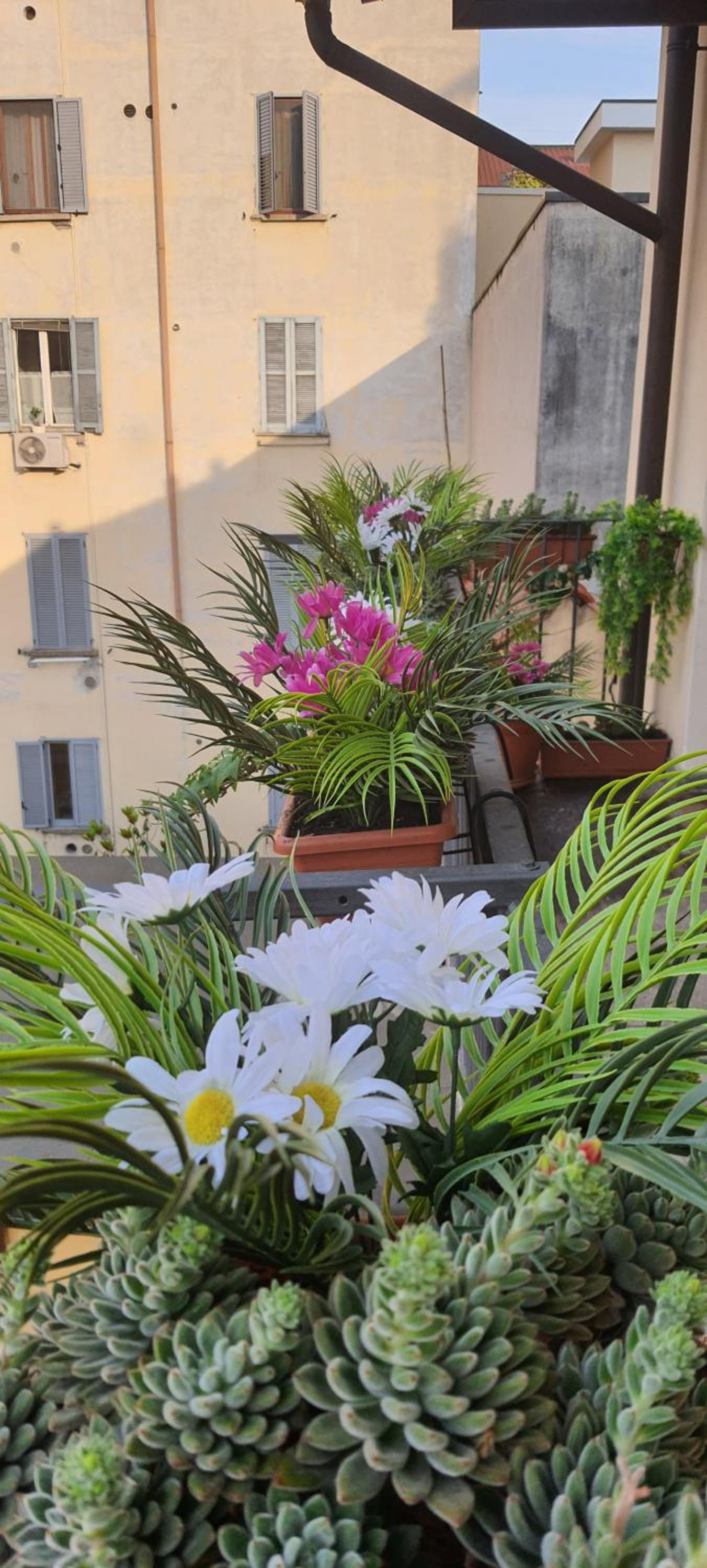 b&b milano center porta romana