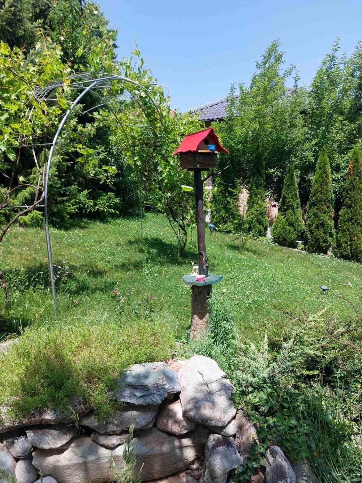 Photo 22