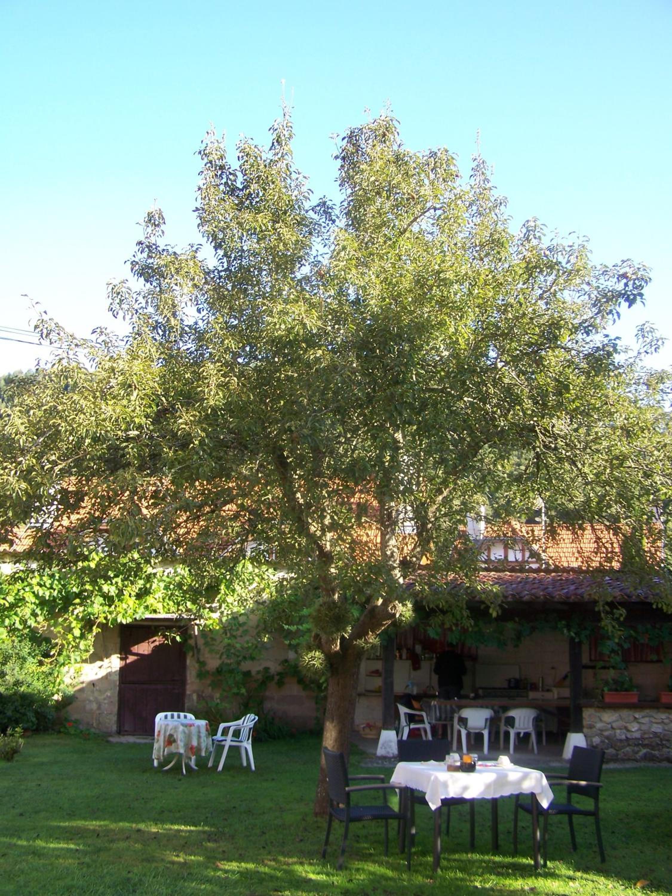 Photo 40