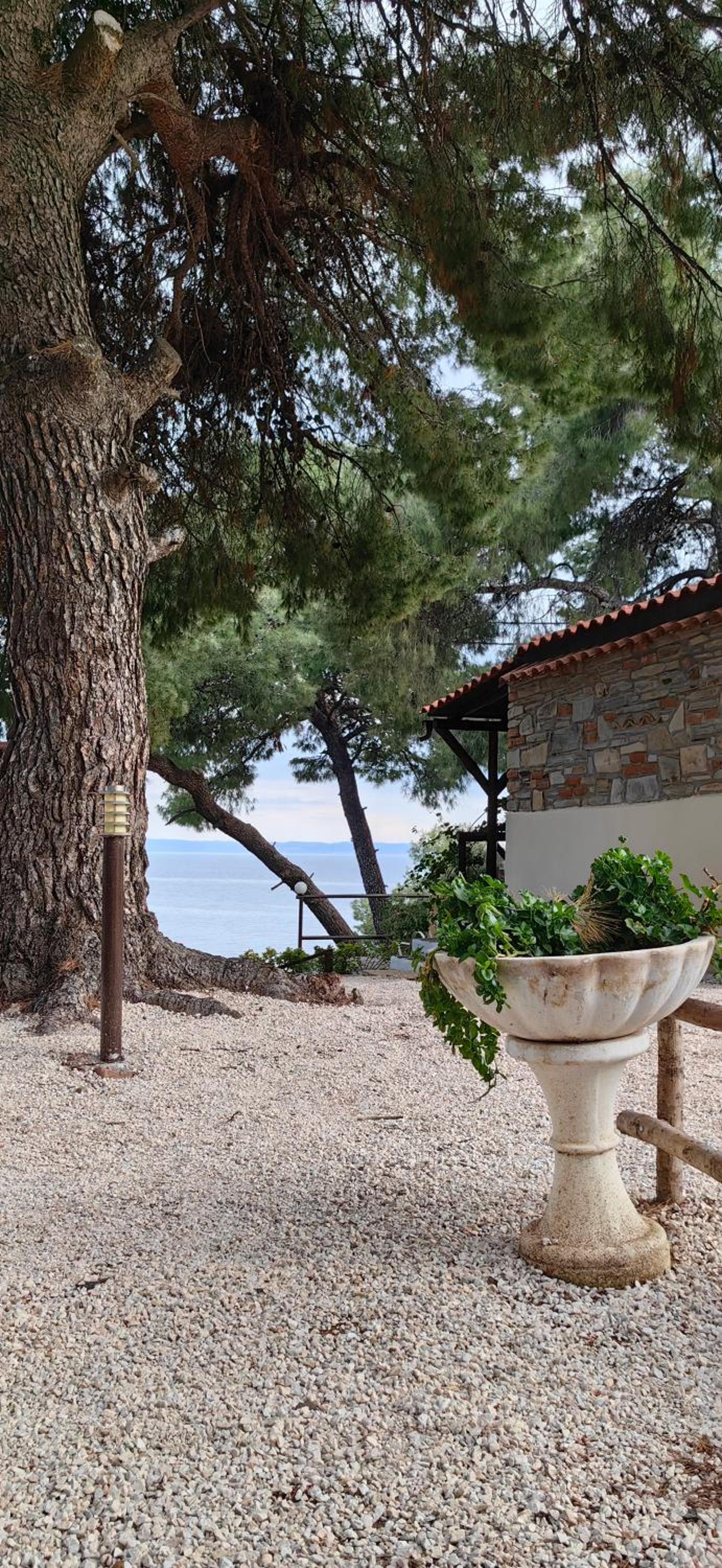 Grandmas Paradise Villa