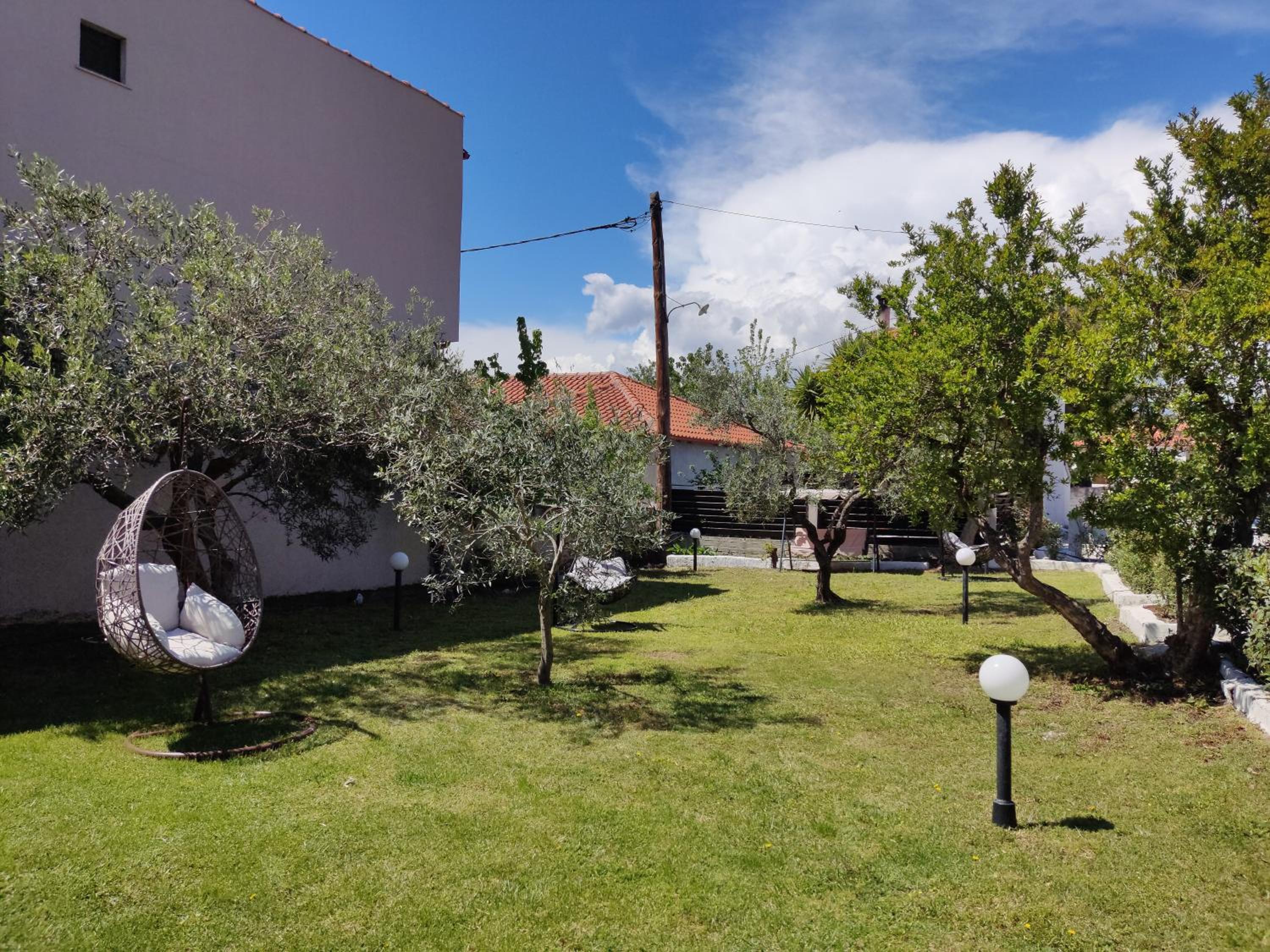 Photo 11