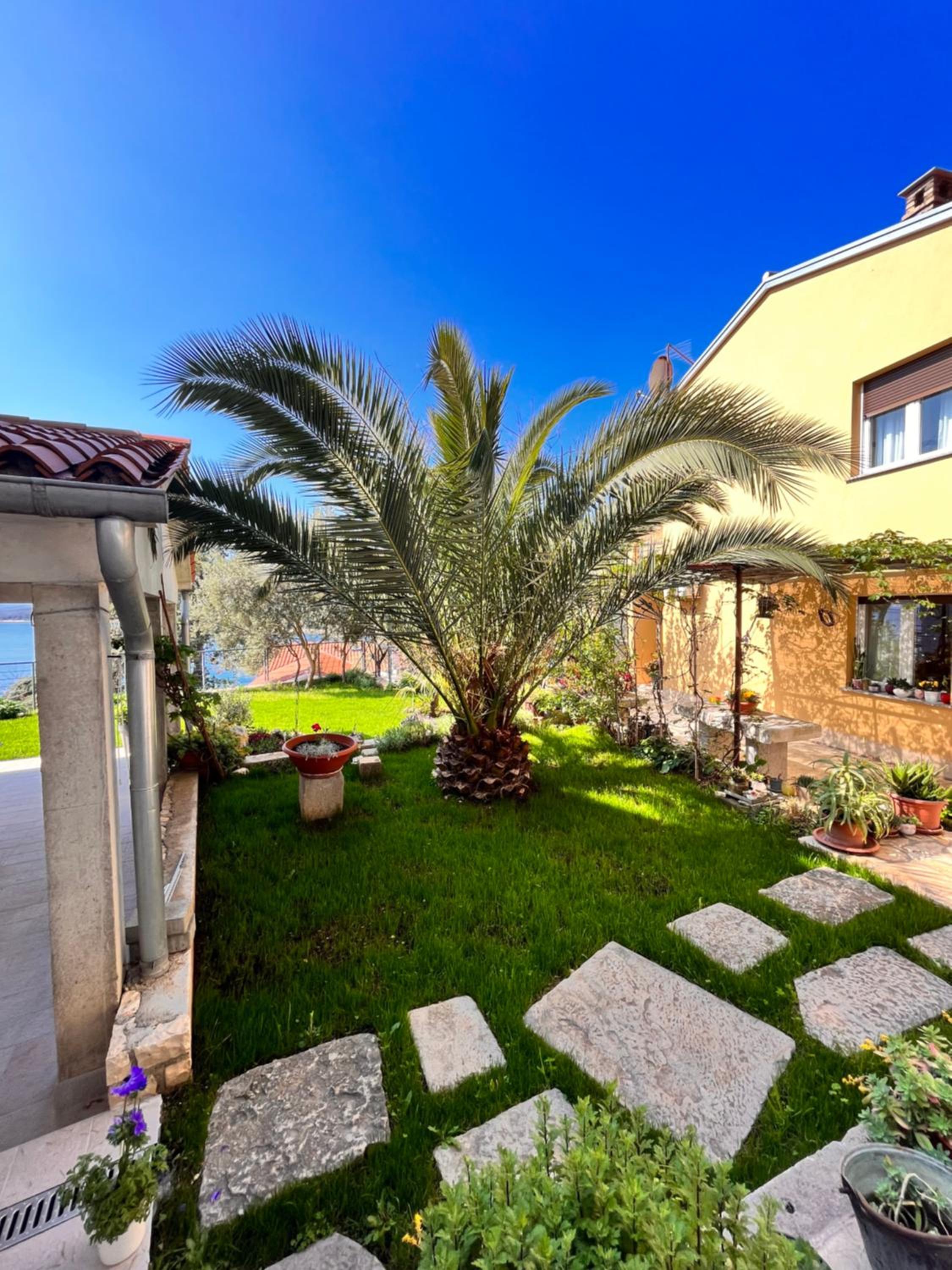 Pet friendly Apartments Licul view 4