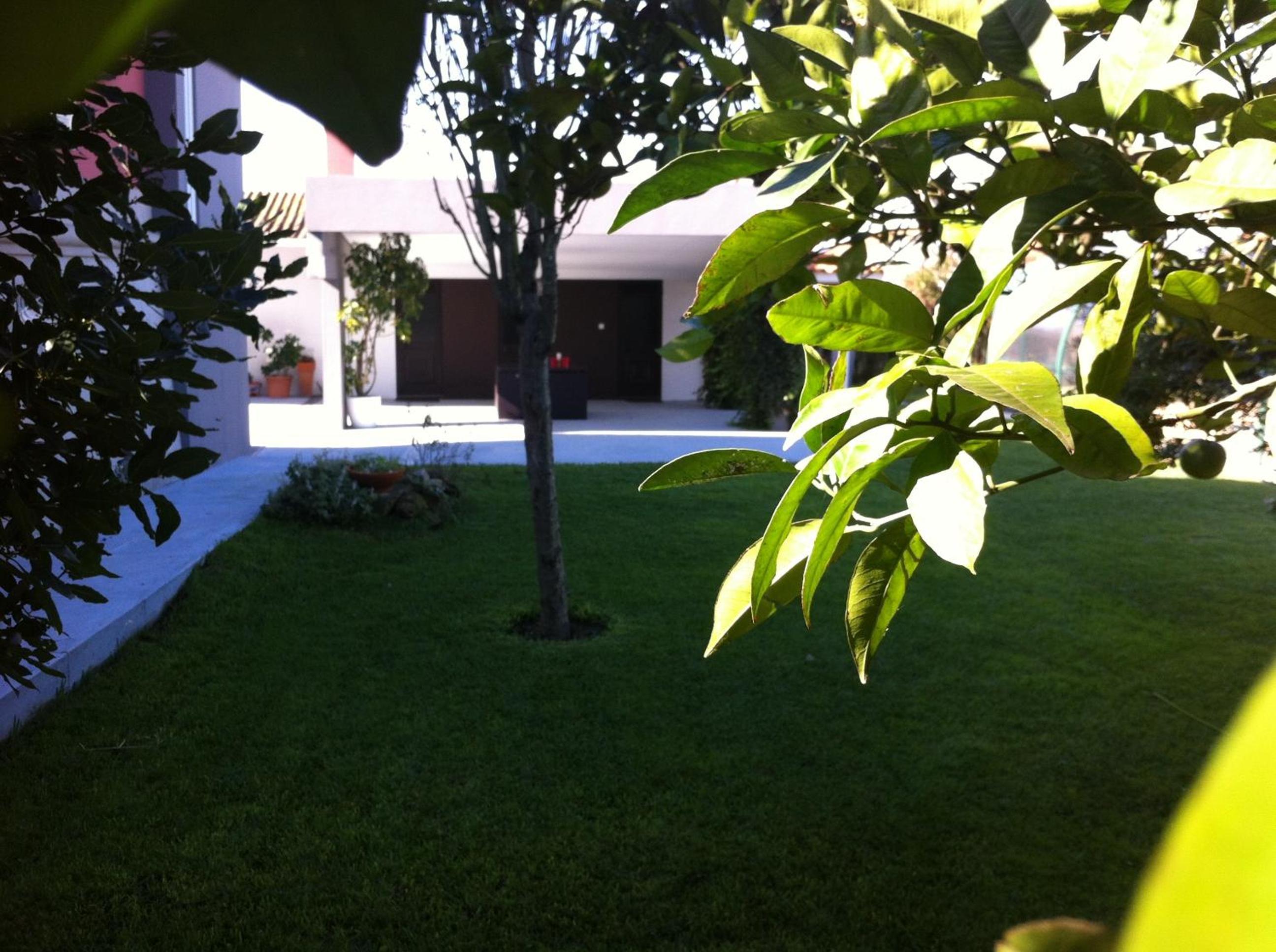 Photo 24