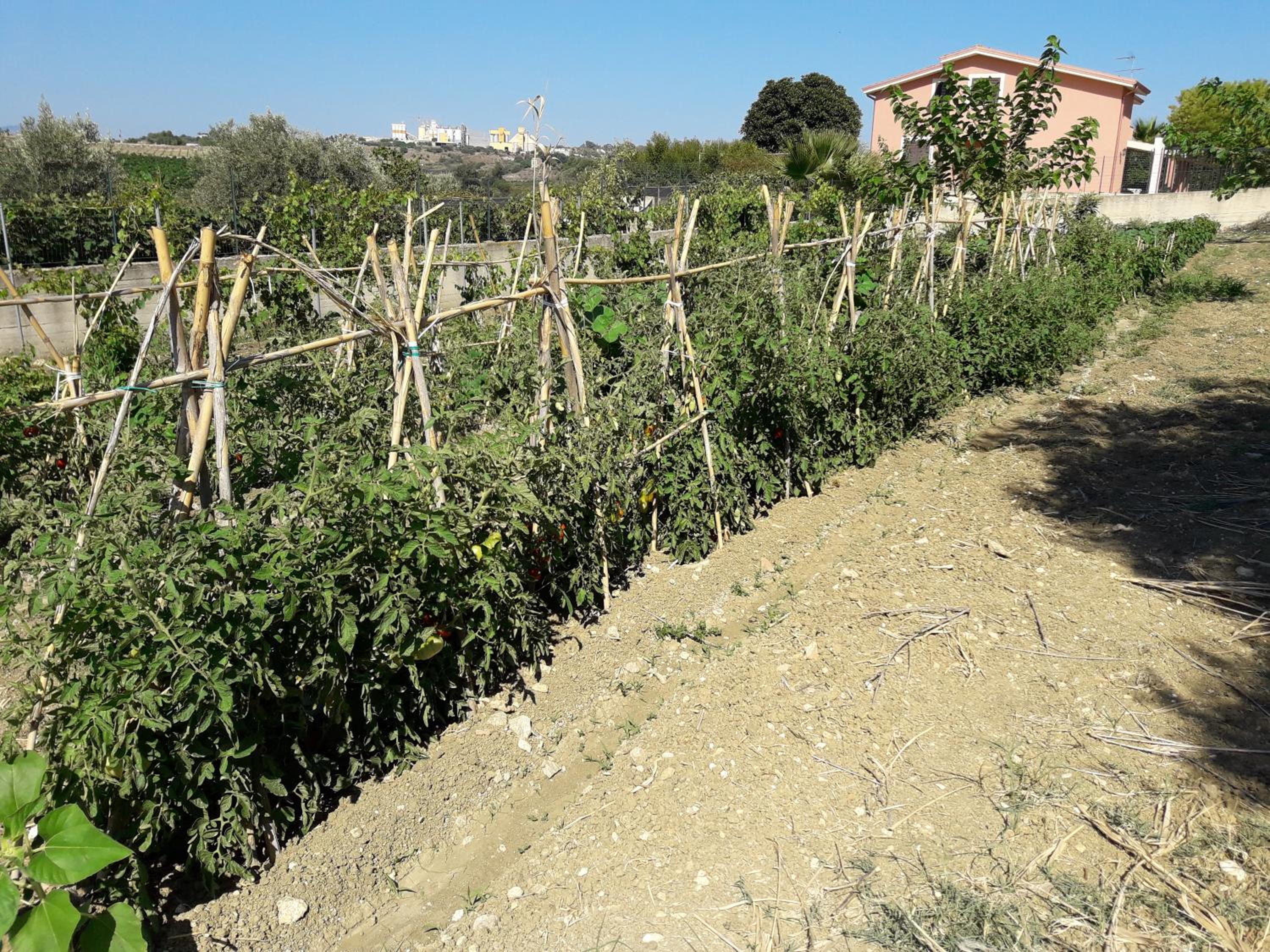 B&B Villa Sant'Antonio view 4