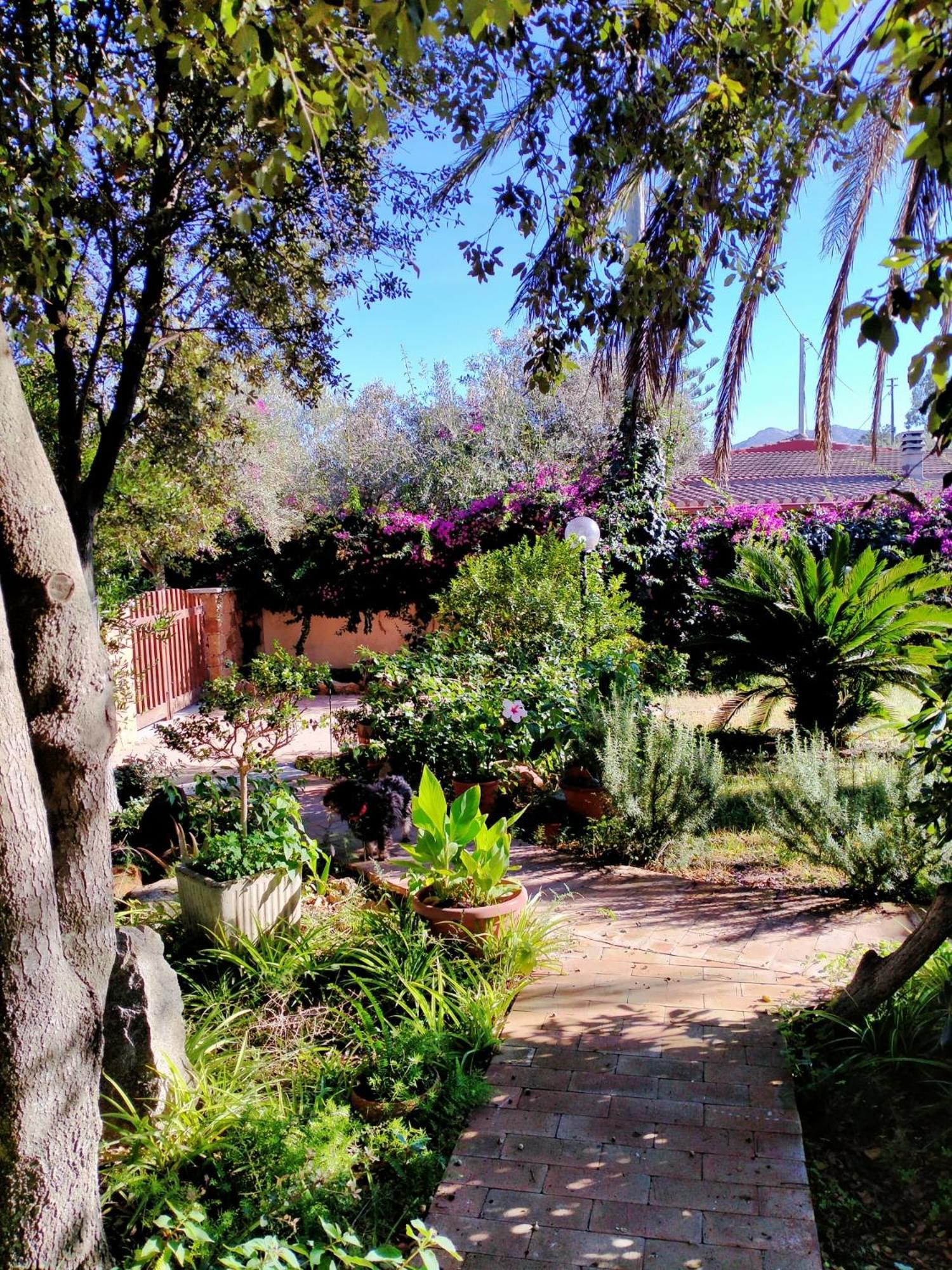 Casa Armas
