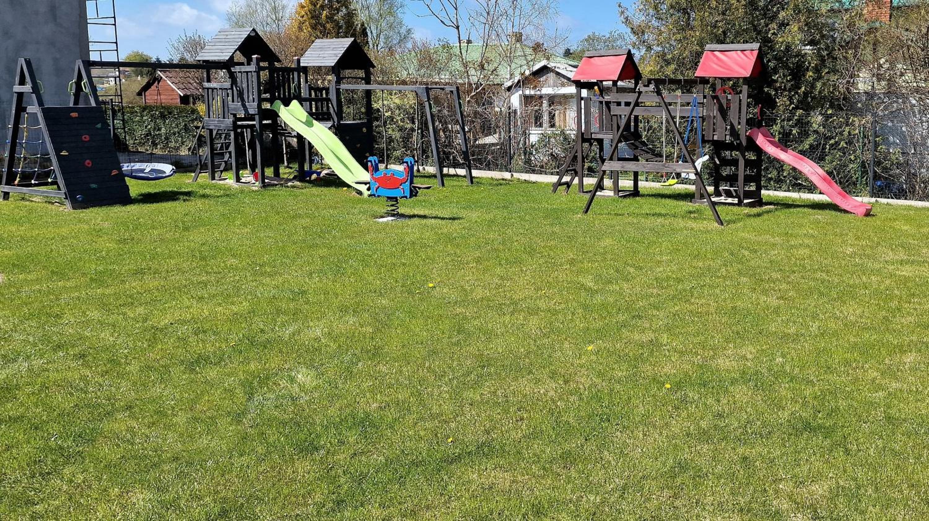 Gęsi Puch view 4