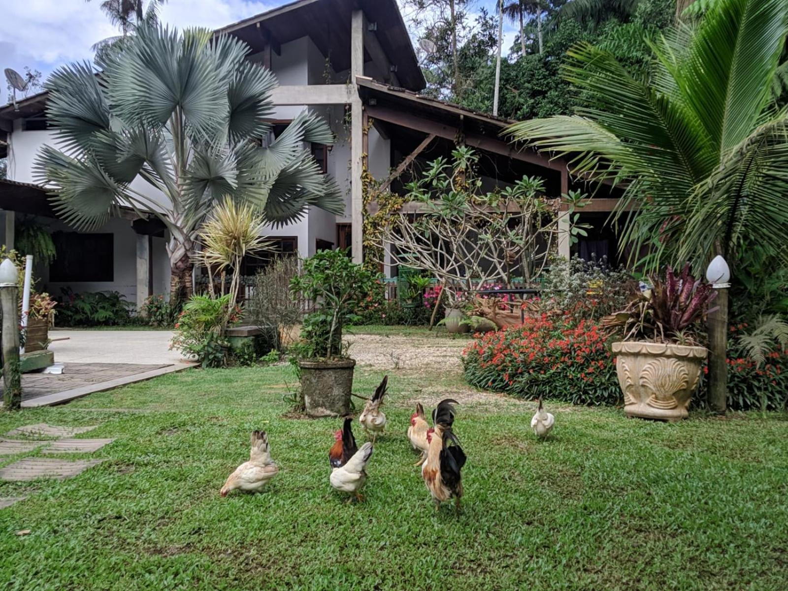 Casa na Floresta