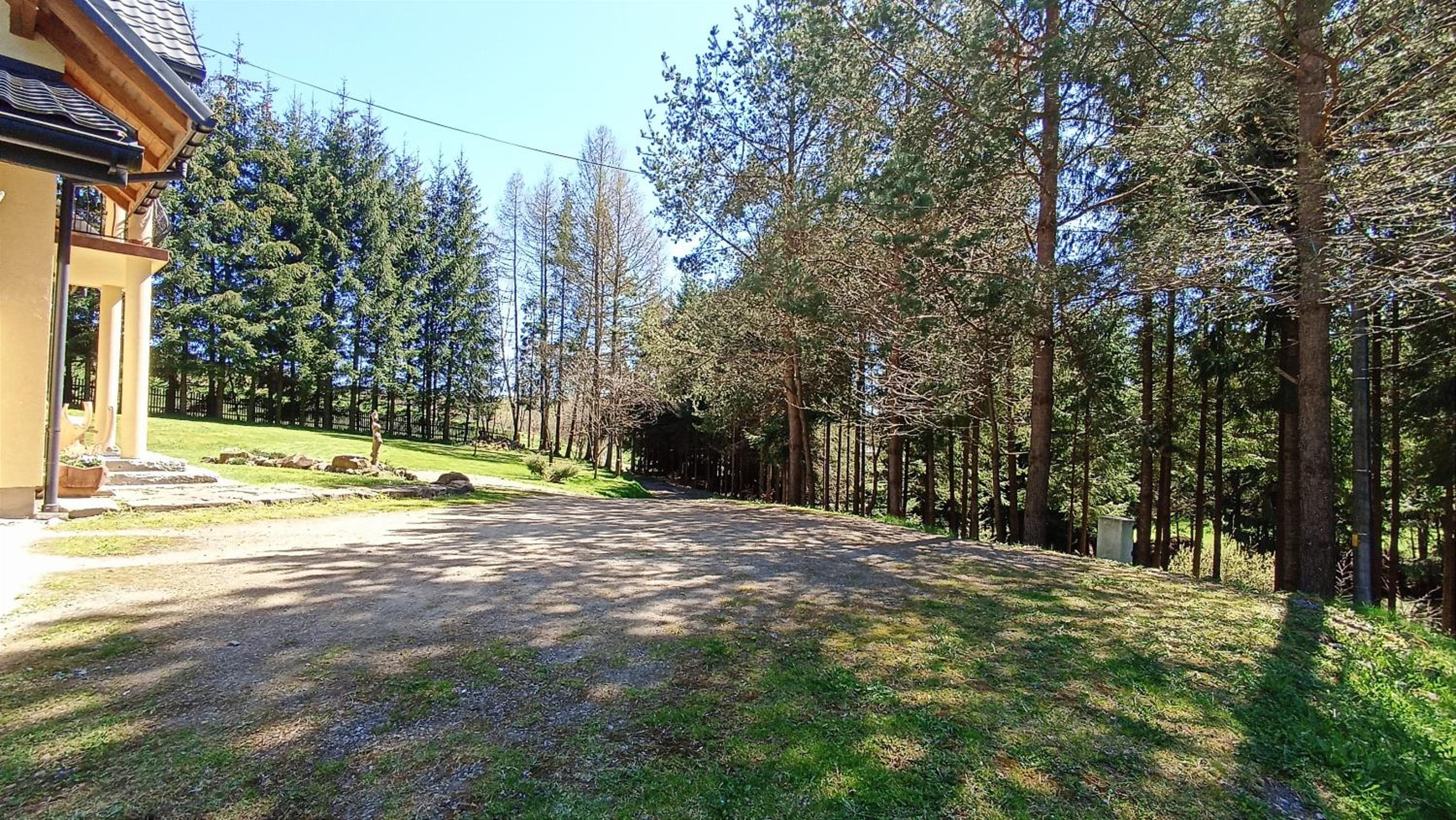 Zacisze Drwala view 3