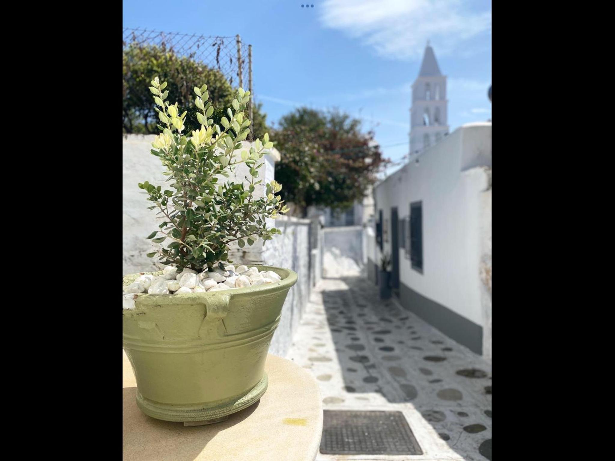 Amarielia's Studios view 5