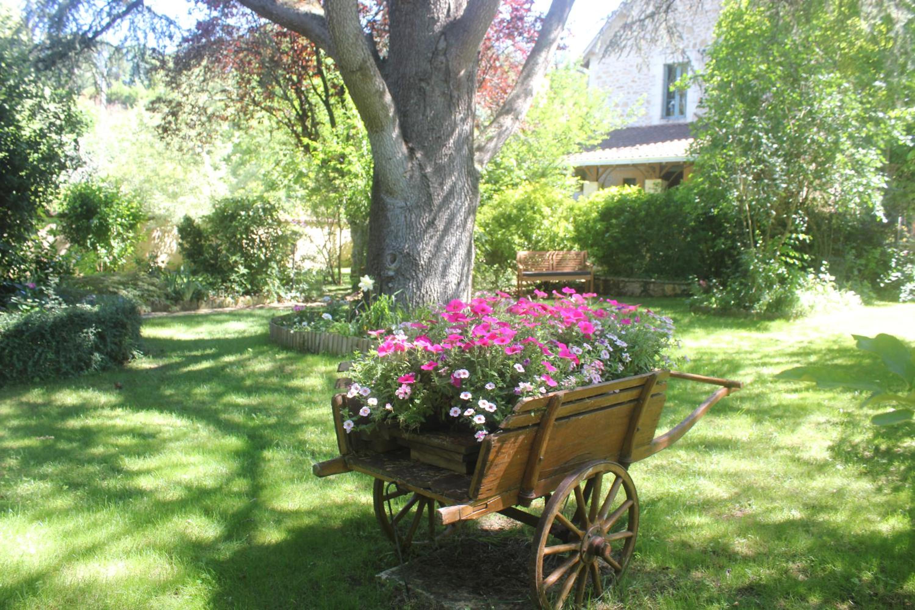 Photo 31