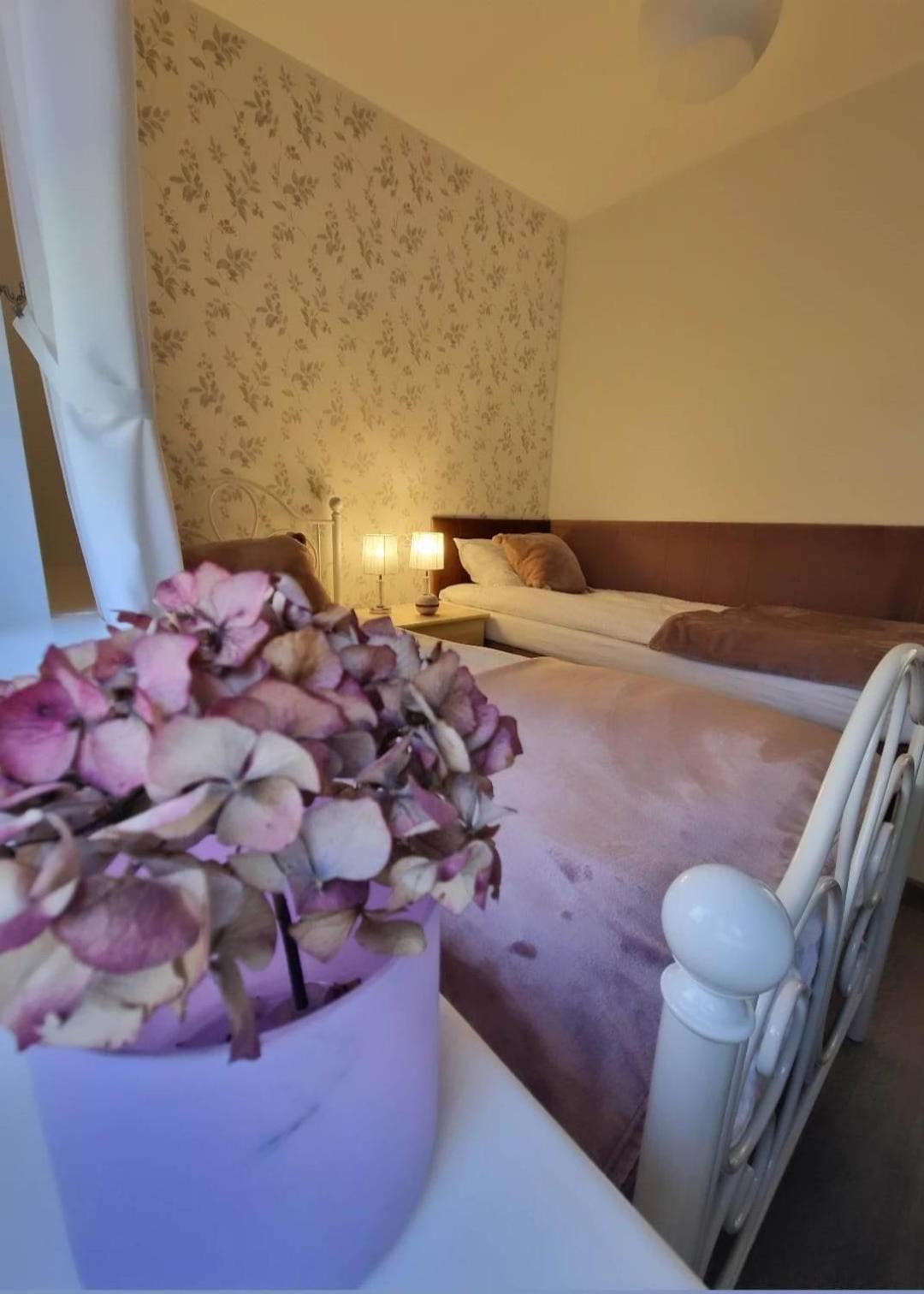 Zielono Mi - Dom Gościnny w Łapalicach