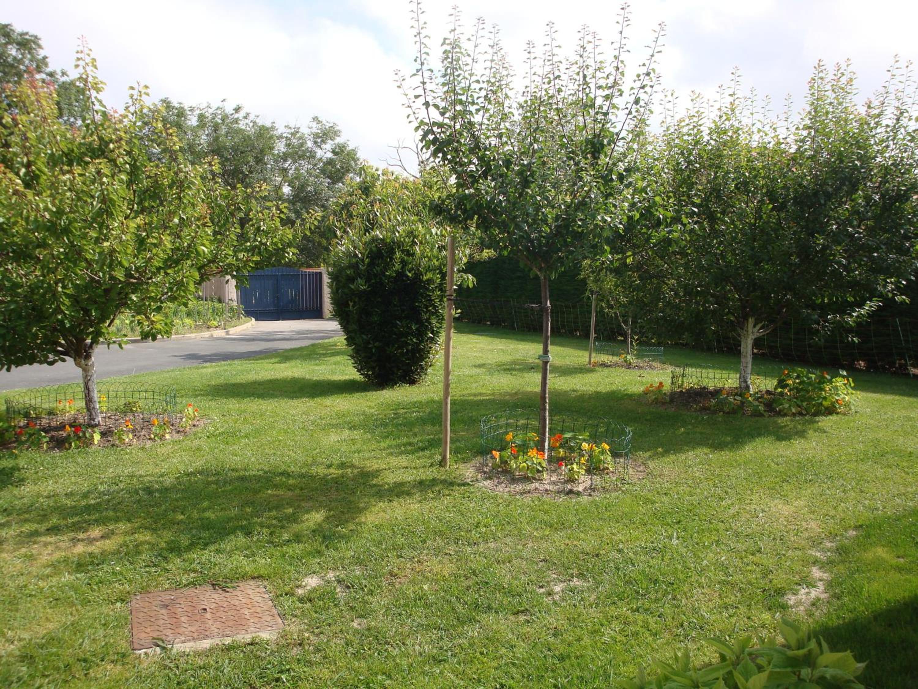 Photo 19