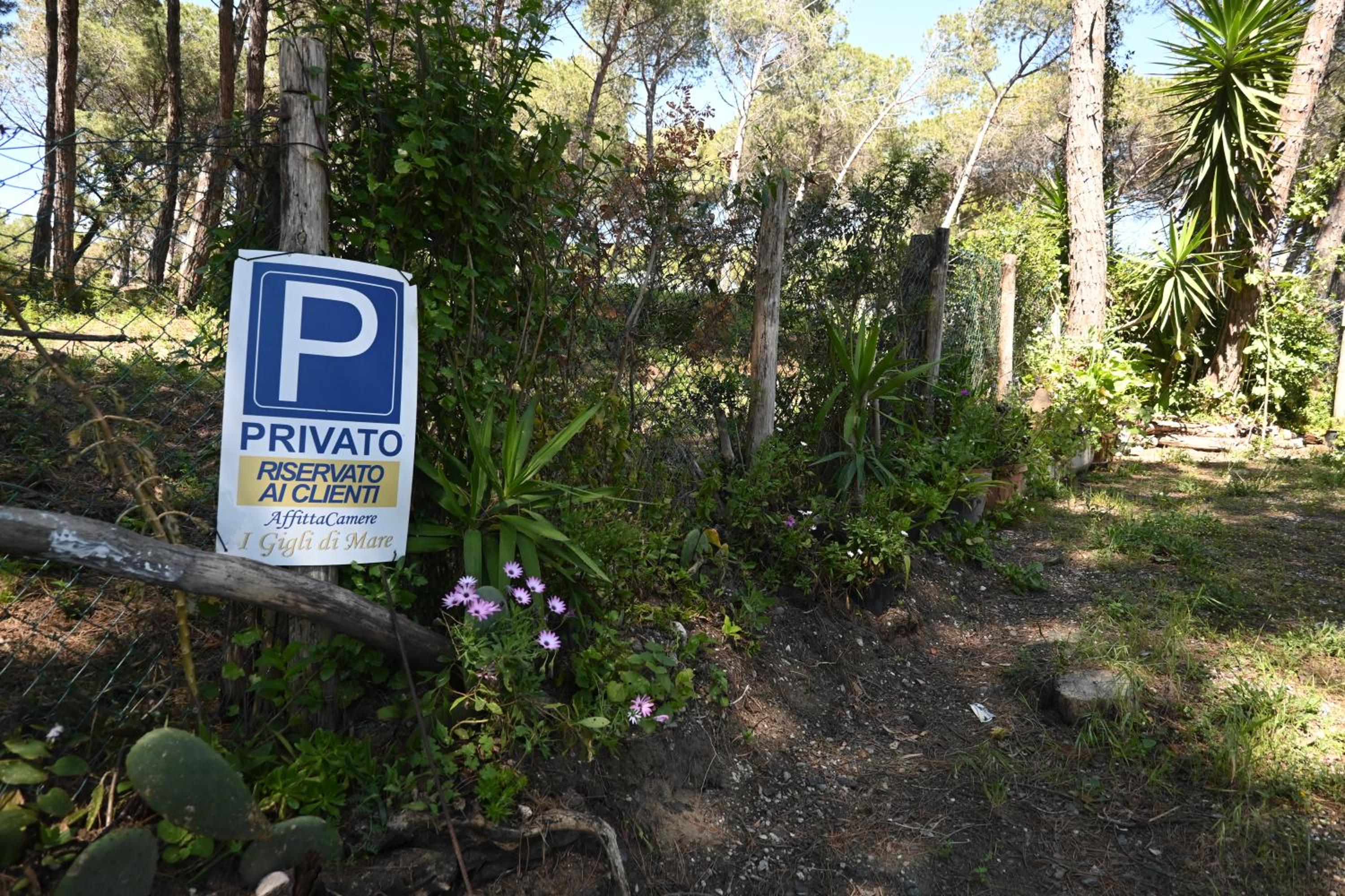 Affittacamere I Gigli di Mare