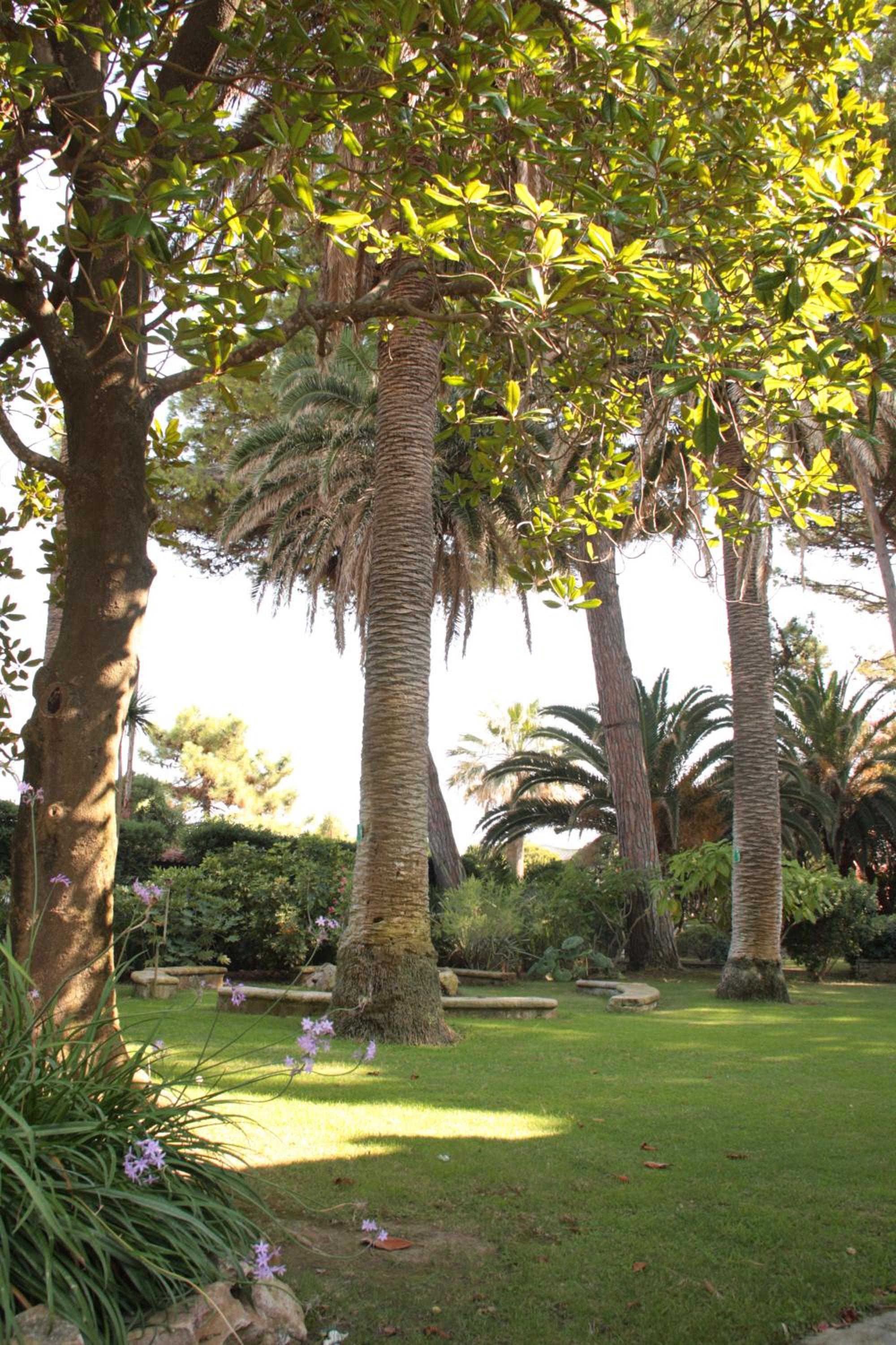 Photo 40