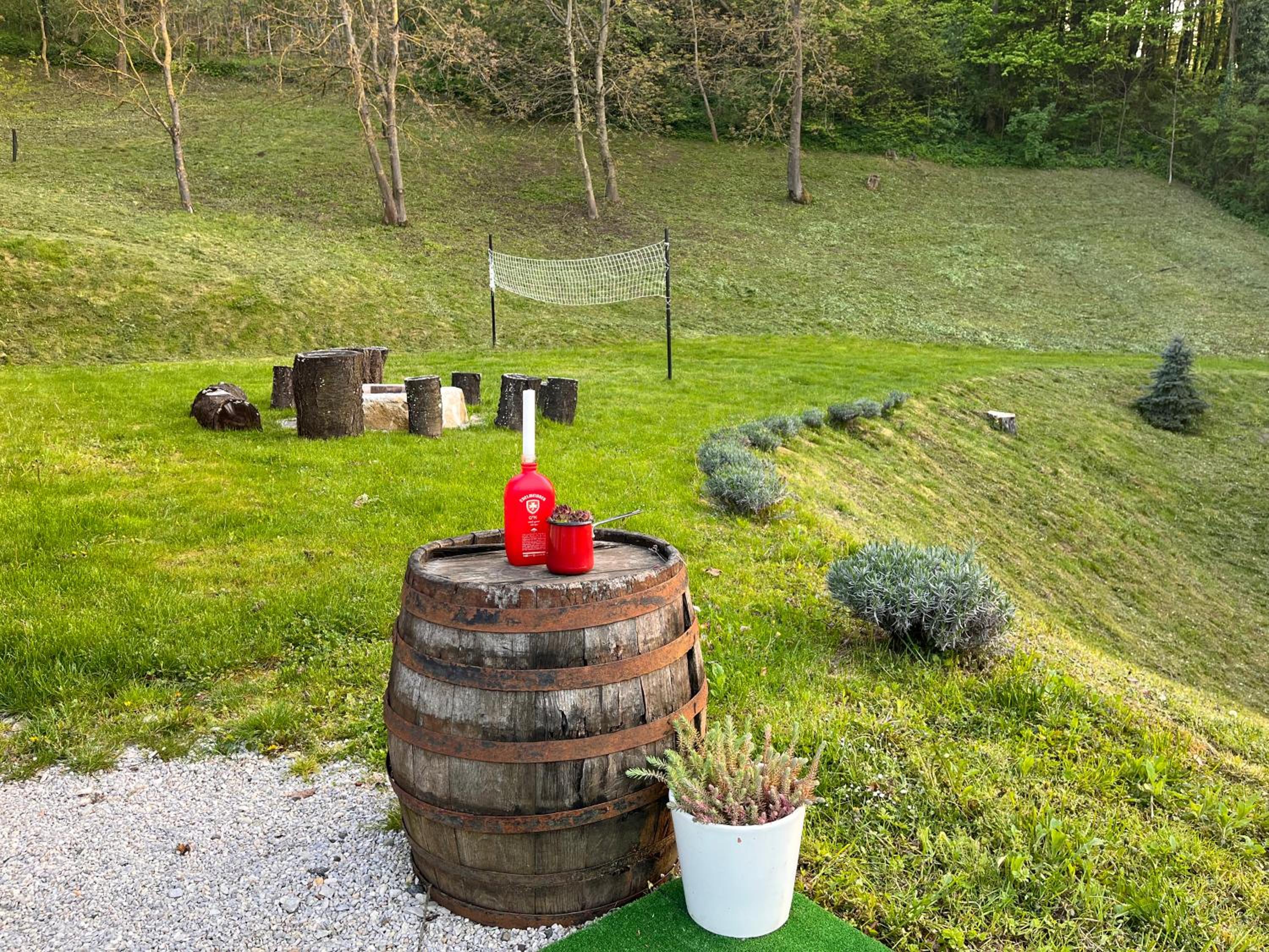 Vila Countryhouse Pijevci