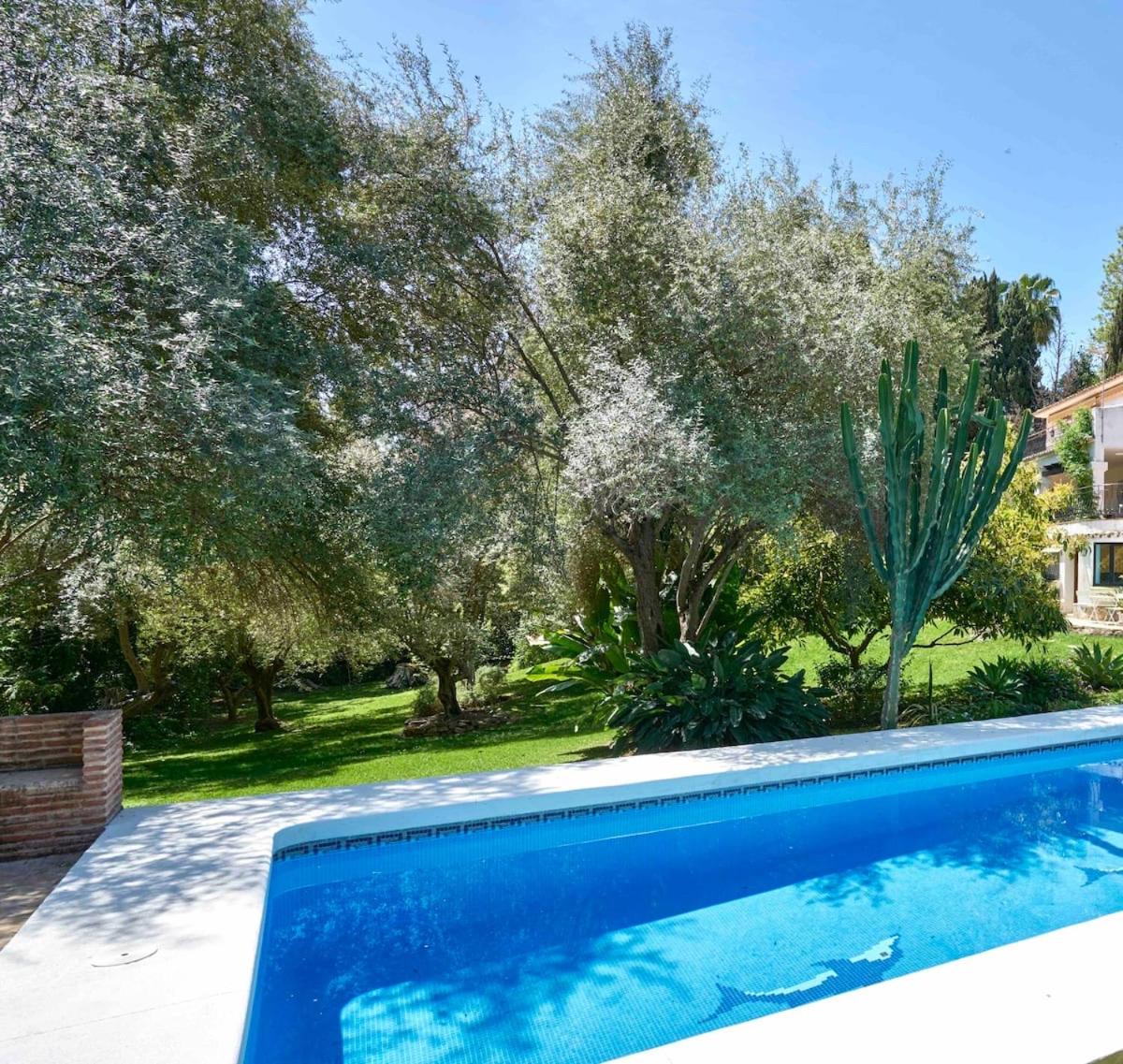 Villa Dos Palomas on the Golden Mile in Marbella photo 2