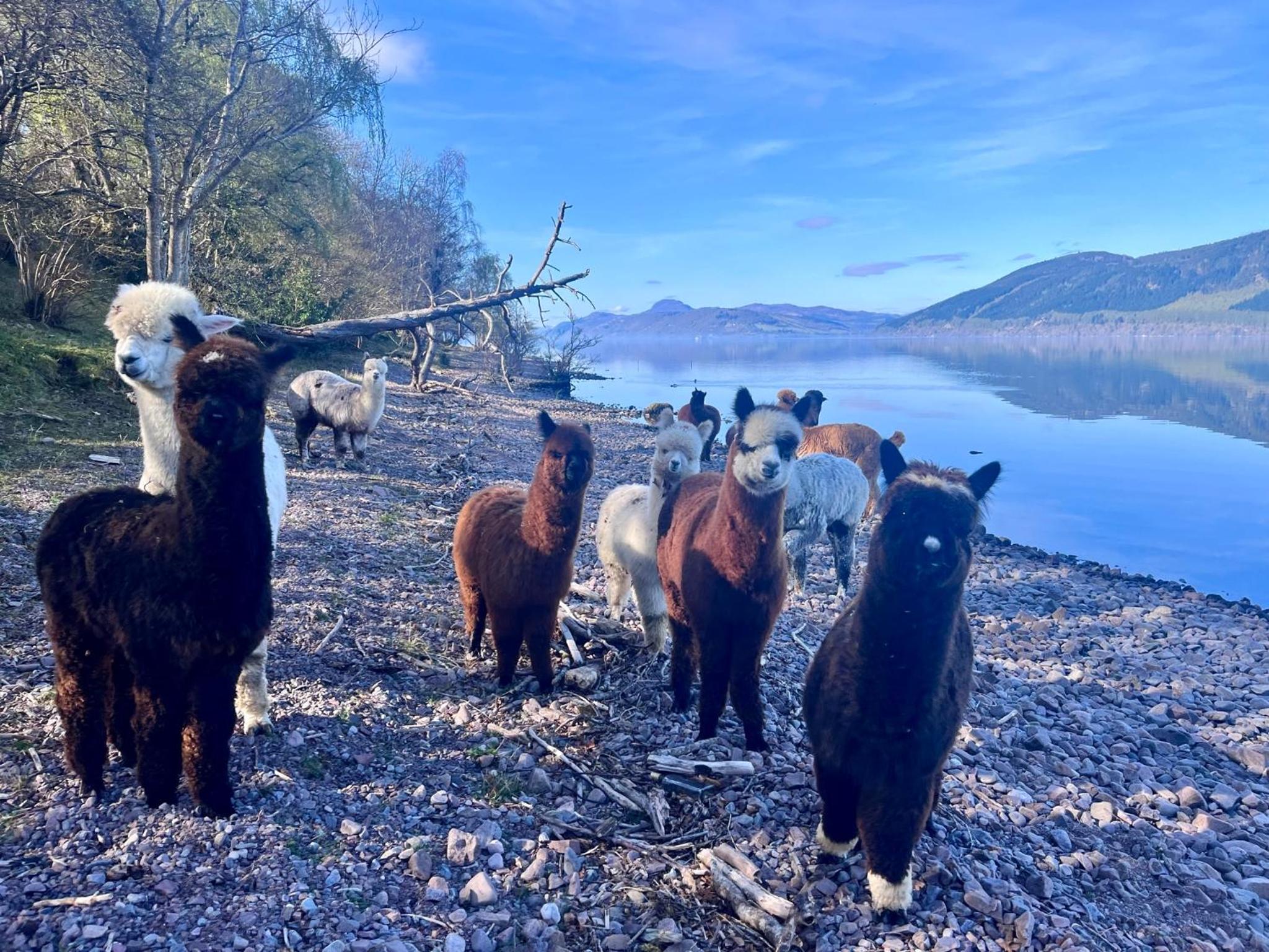 Balachladaich Loch Ness B&B