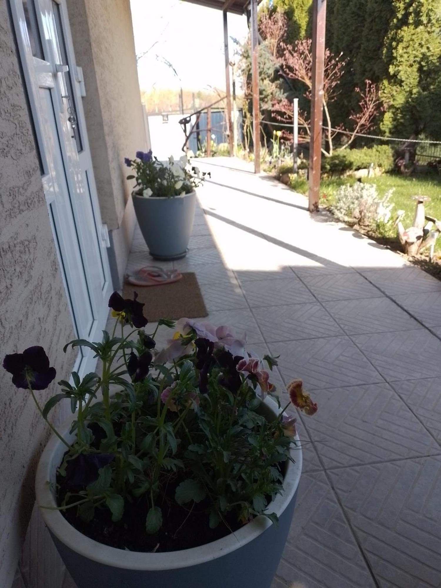 Casa Mamei