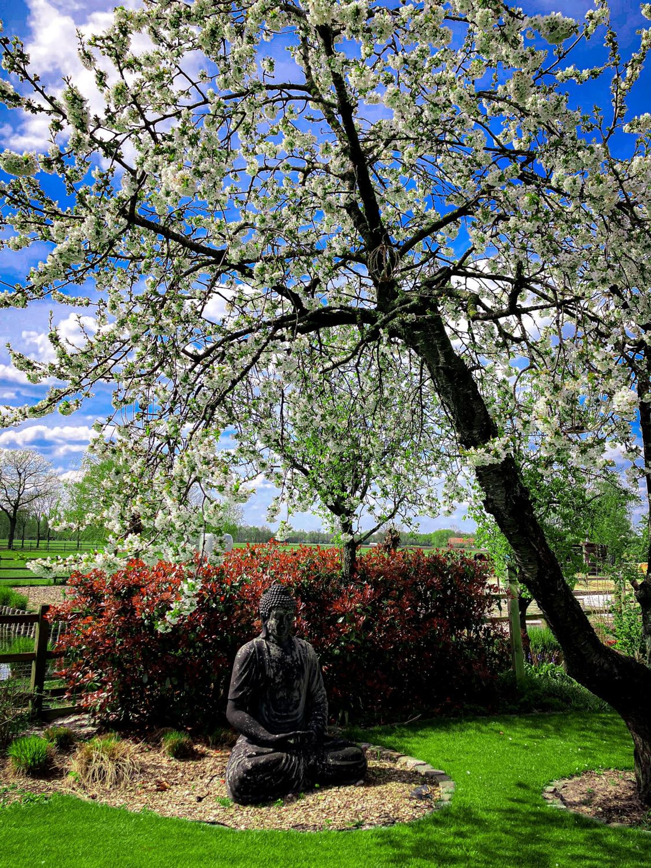De Worfthoeve, 写真 26