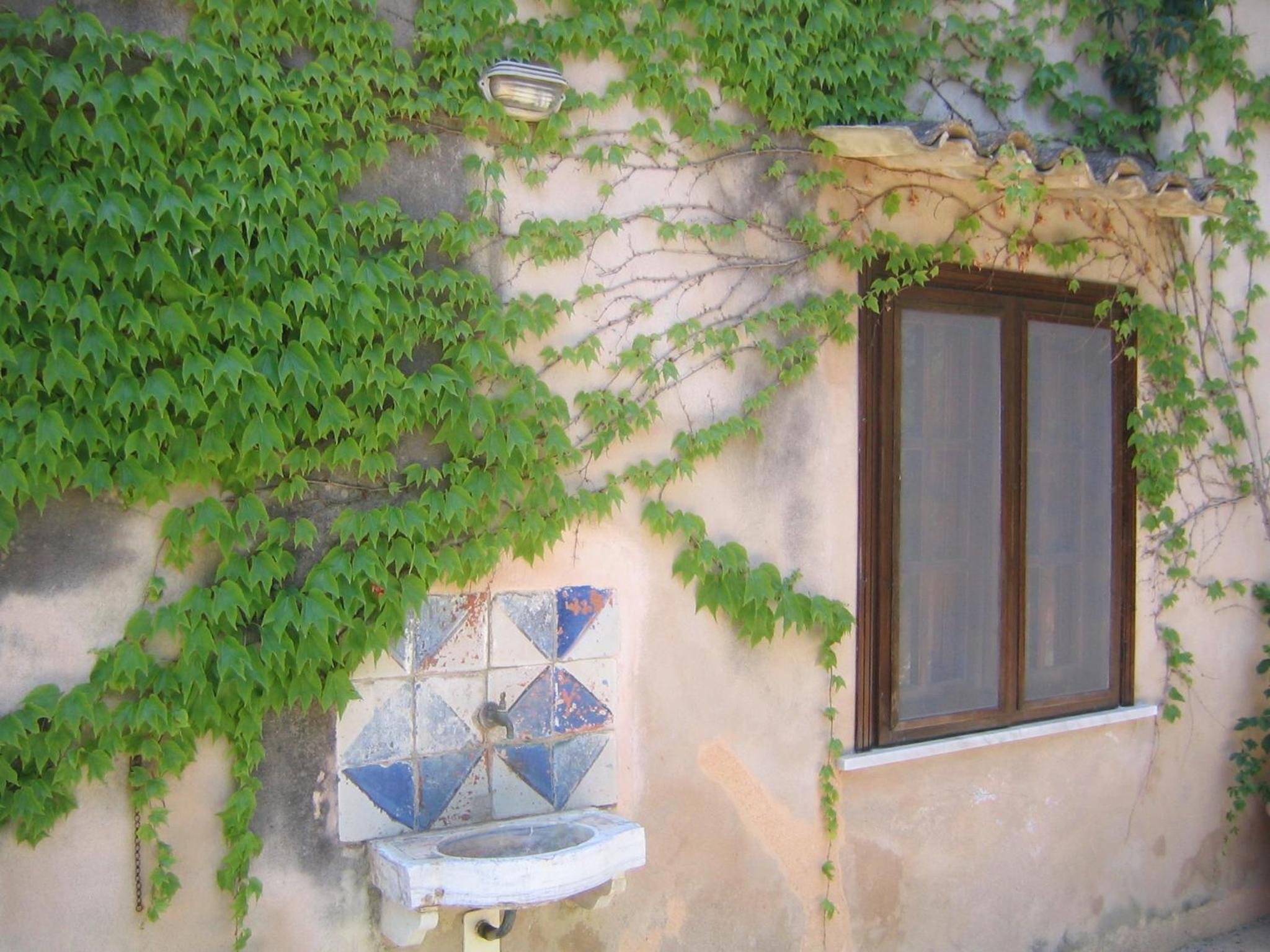 Photo 37