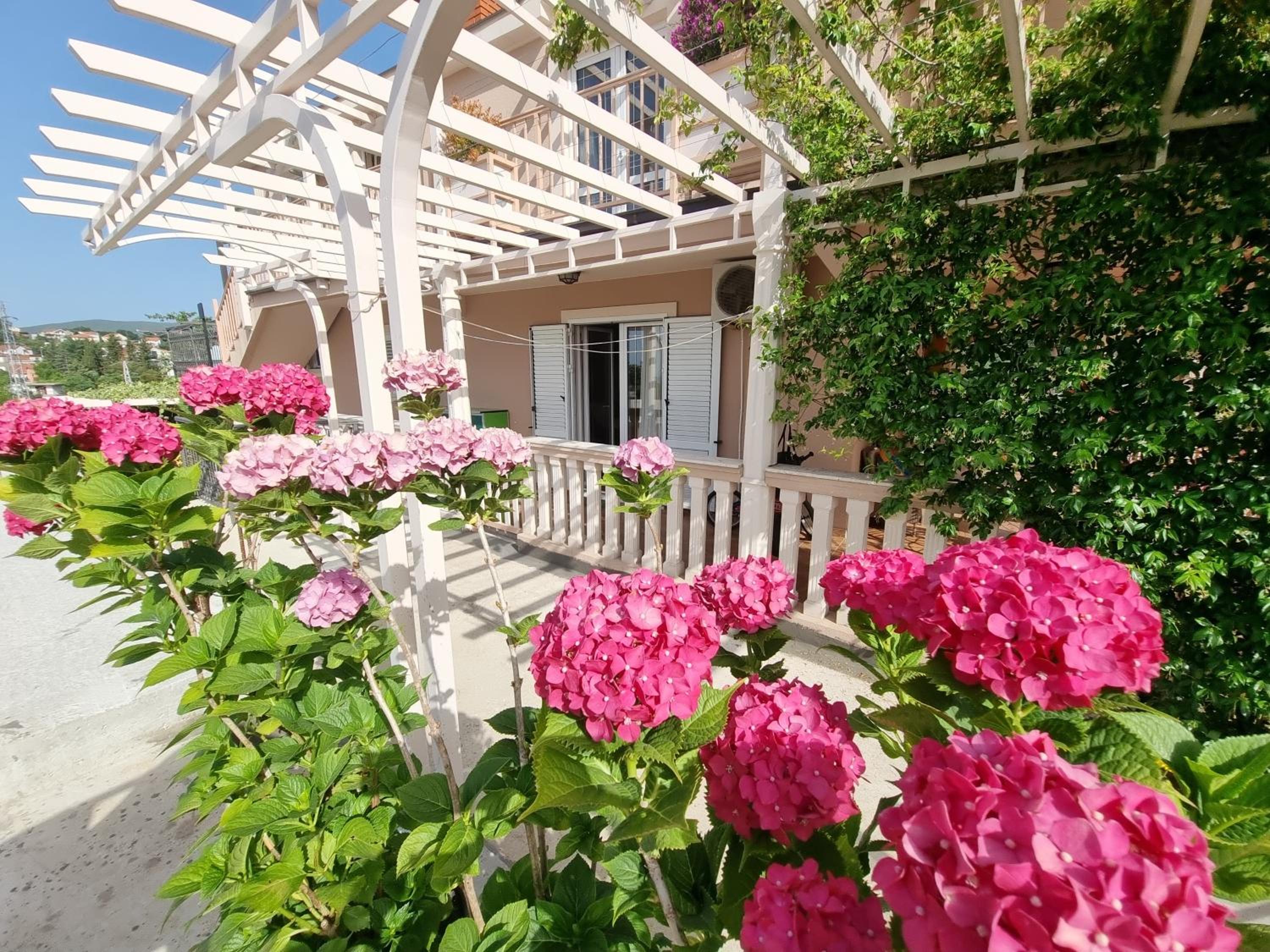 Apartments Popadić with parking photo 4