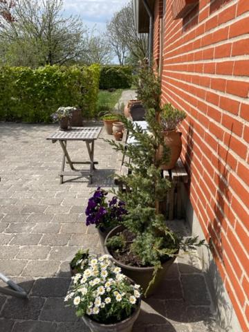 Anita's B & B