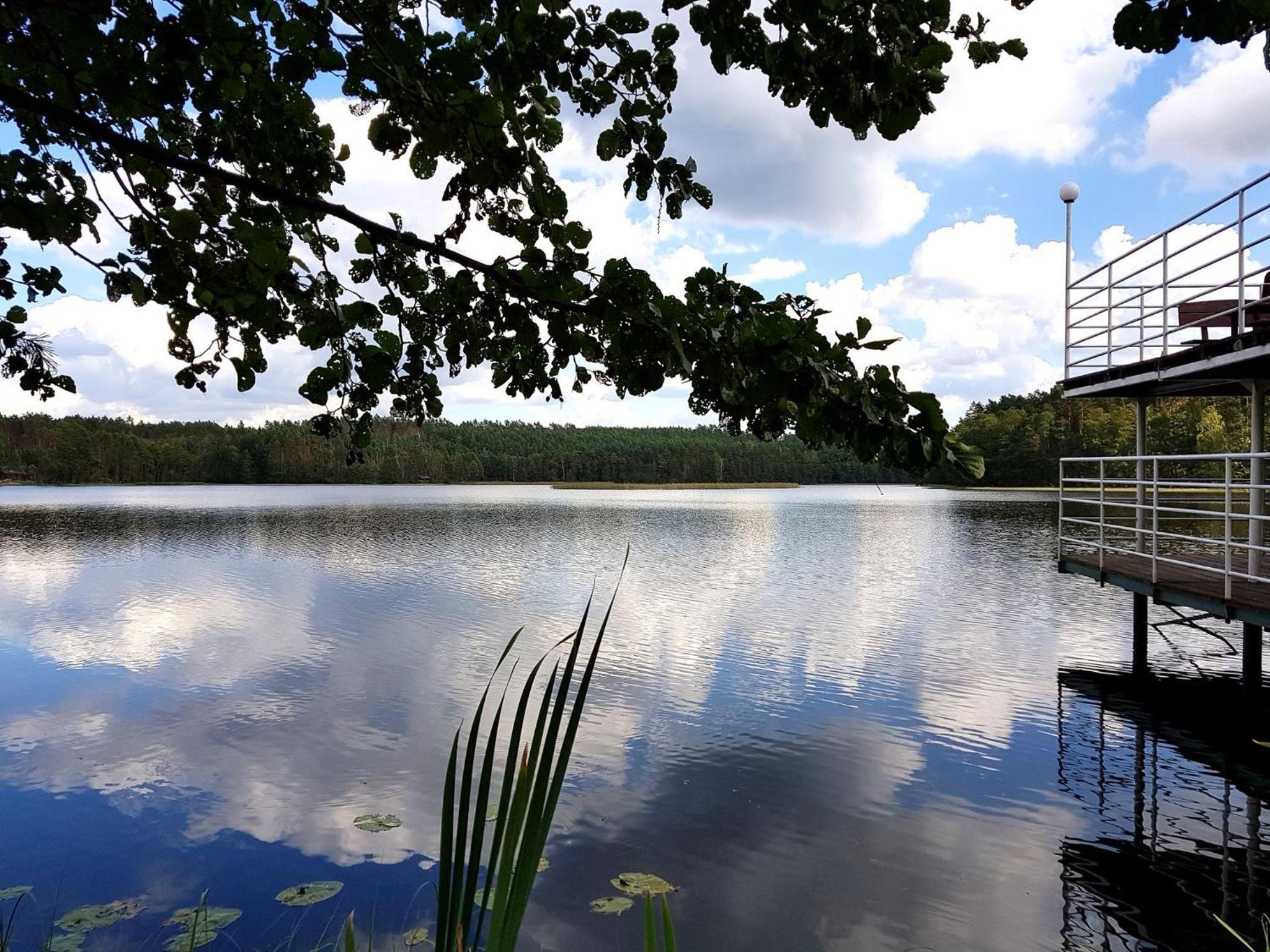 Ośrodek Wypoczynkowy Stadnina Koni Kaszubski Bór view 2