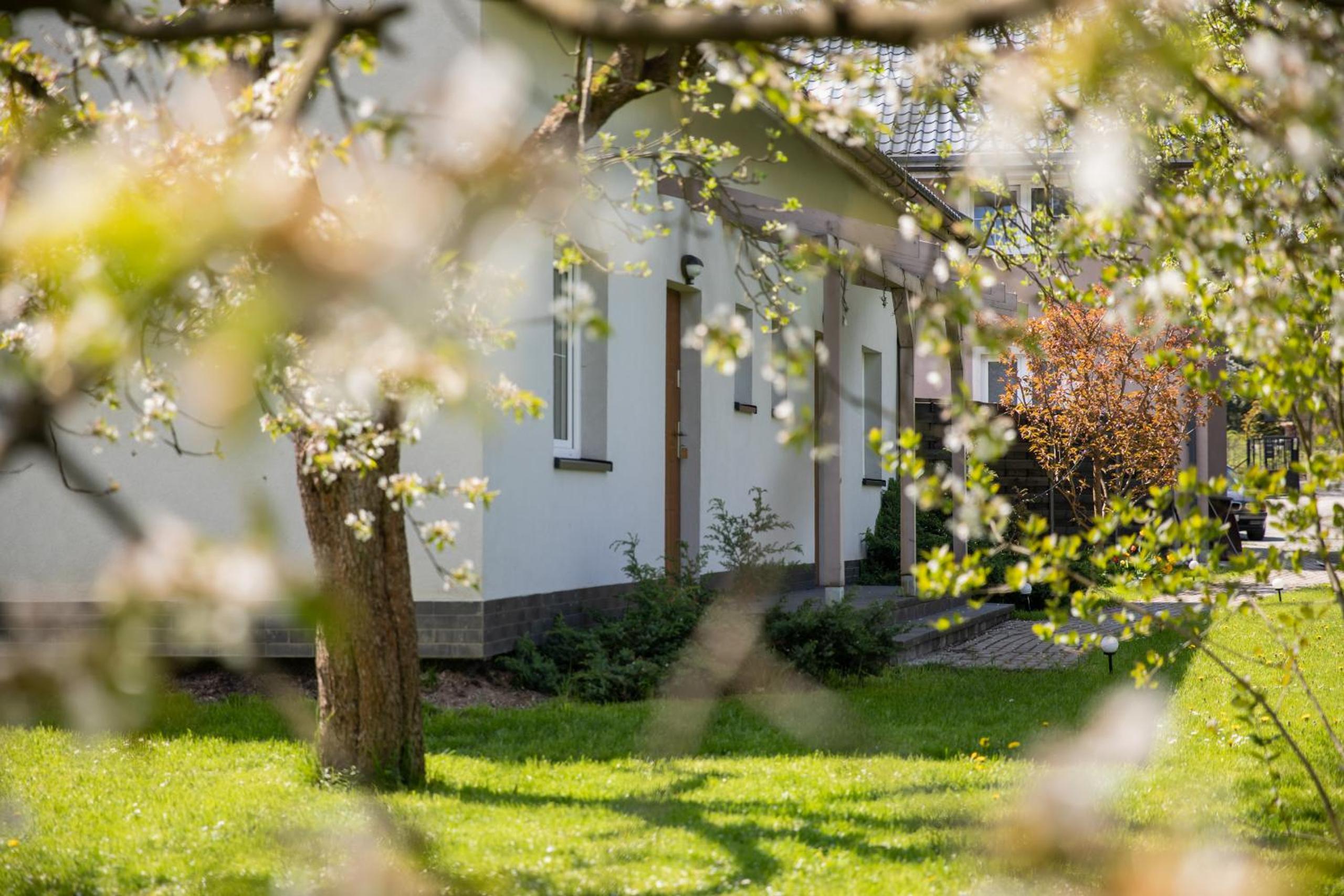 Apartamenty Przylesie view 5