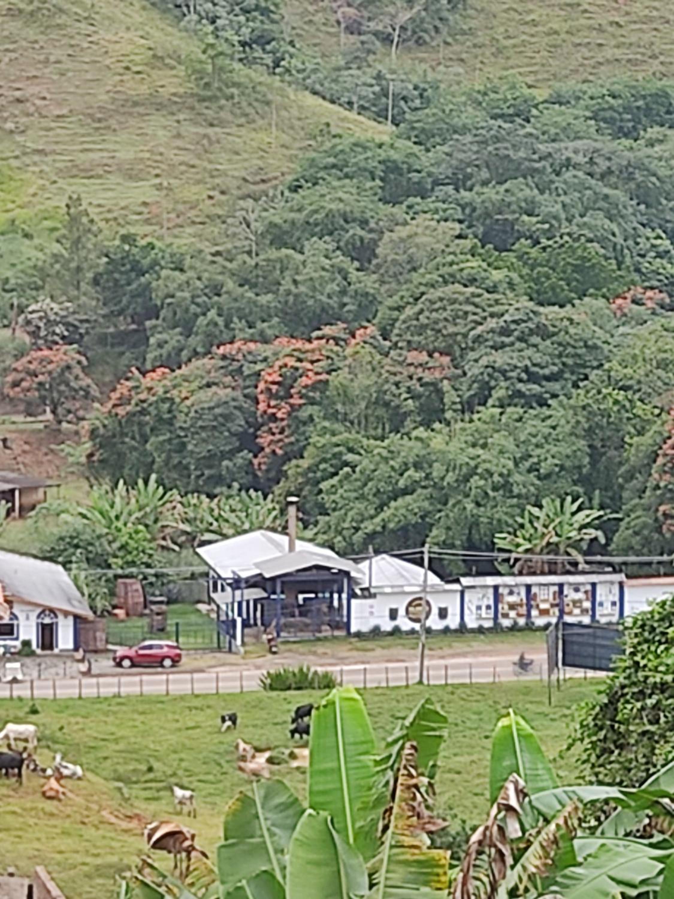 children's play area