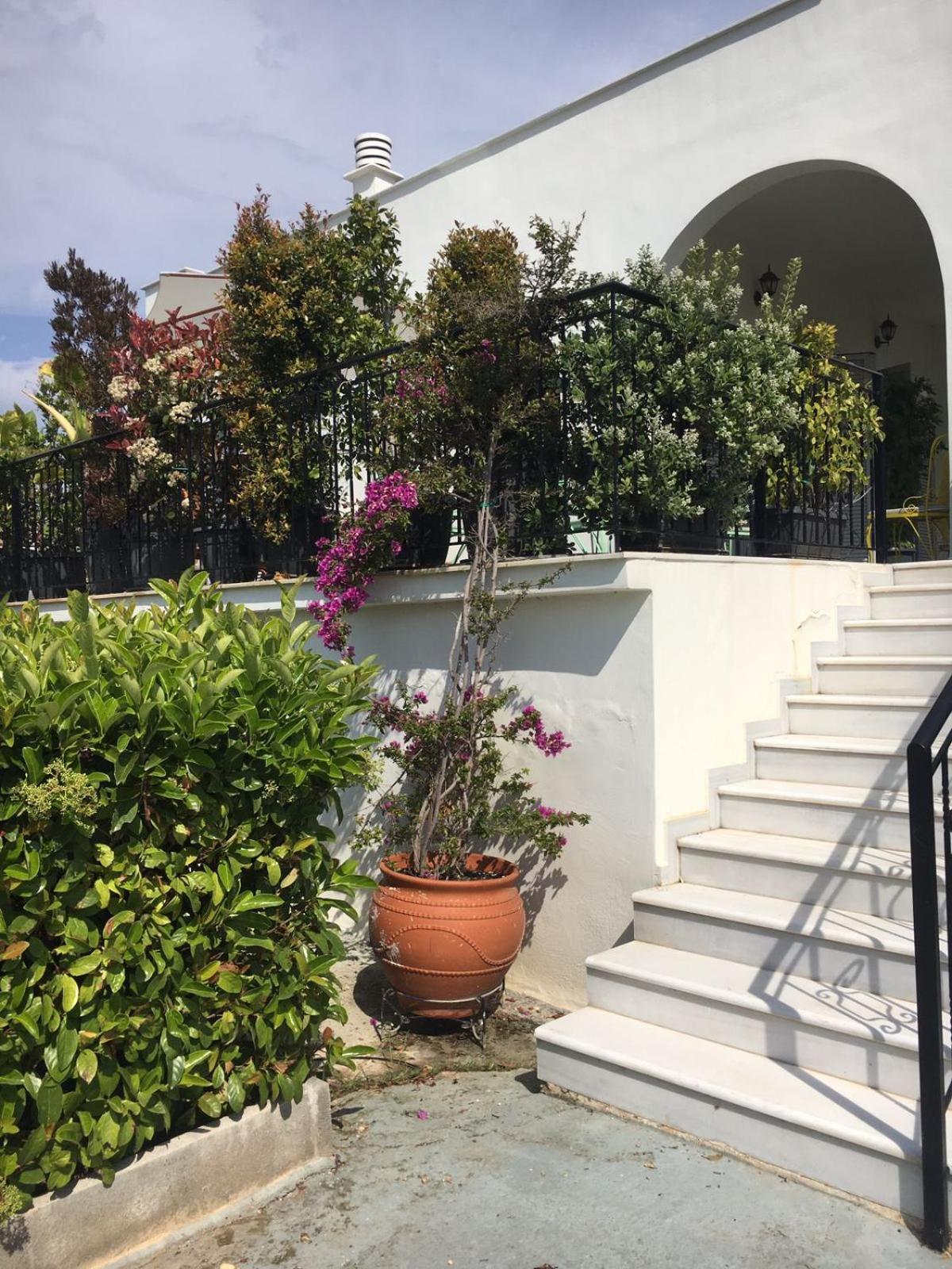Sunny Sea House photo 2