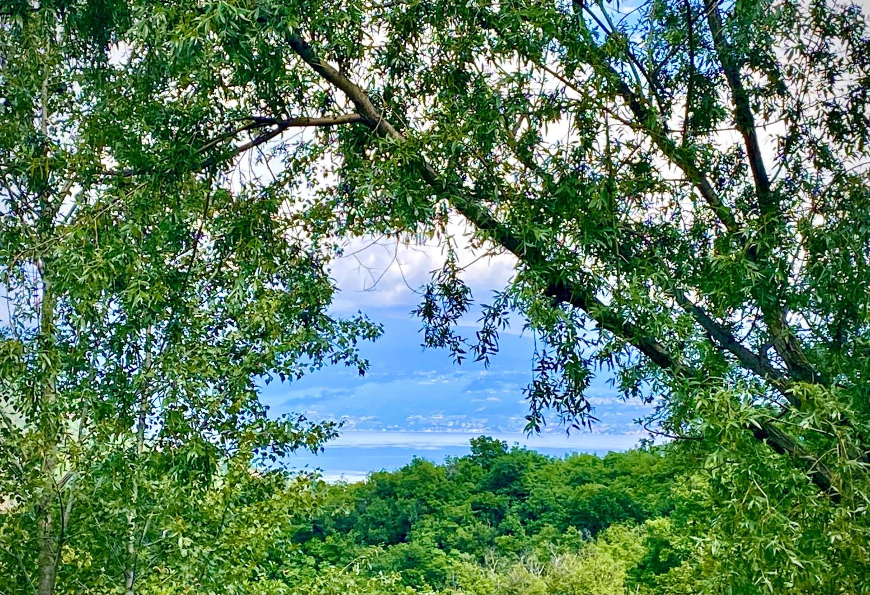 Garda Lake Dana Home photo 2