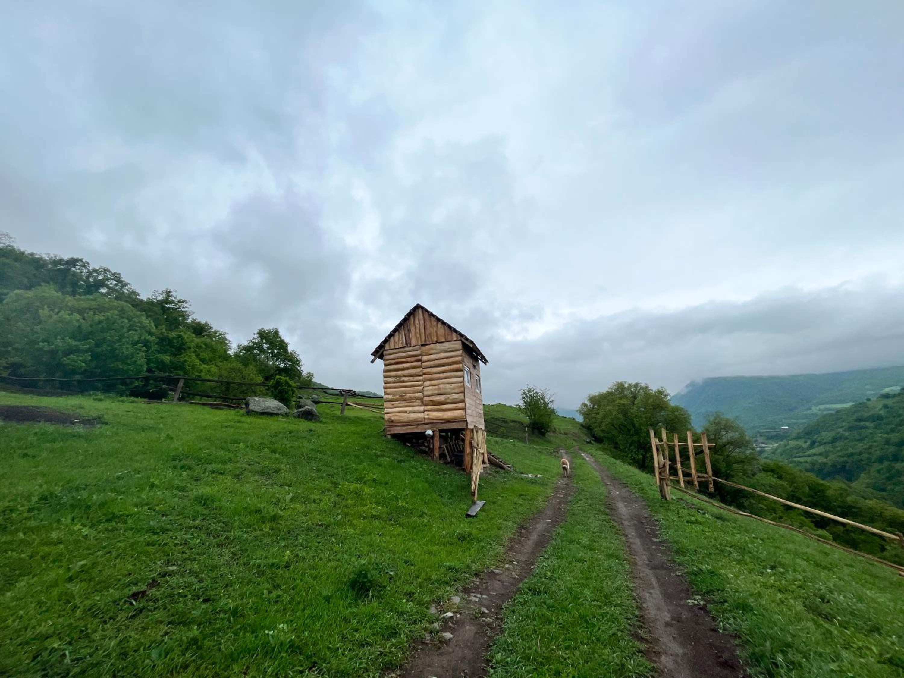Alereks Mountain Camping