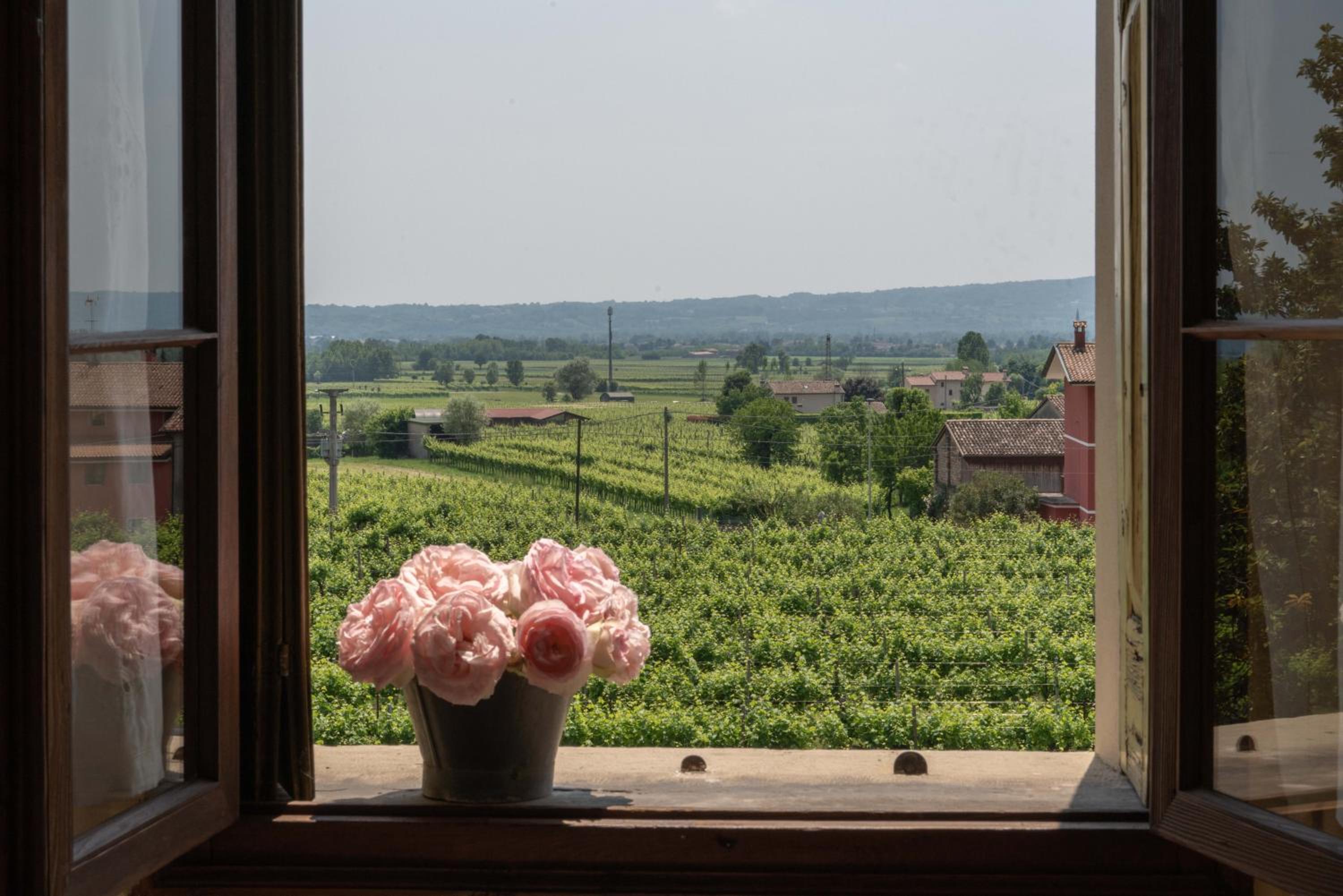 Fiori&vigne di Cecilia Marcon