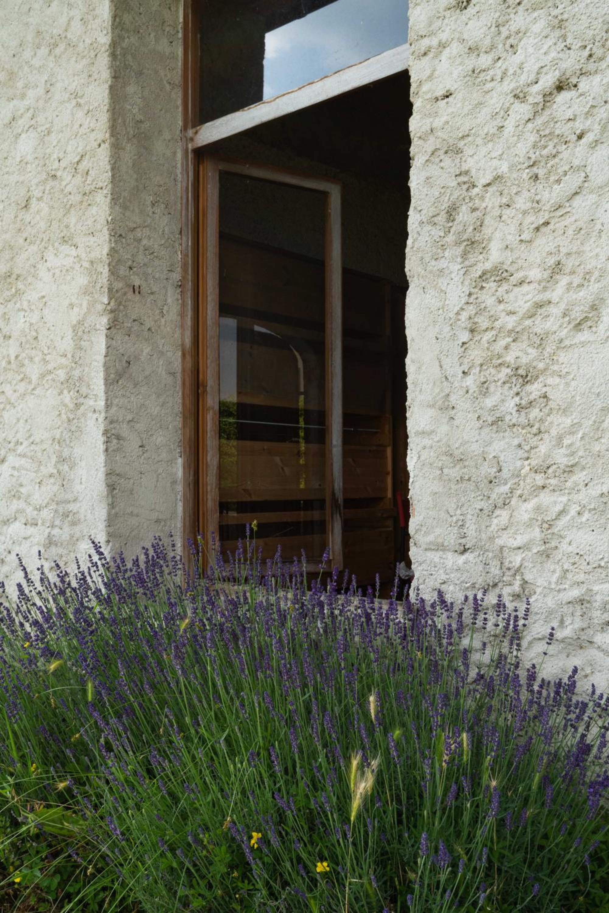 Photo 42