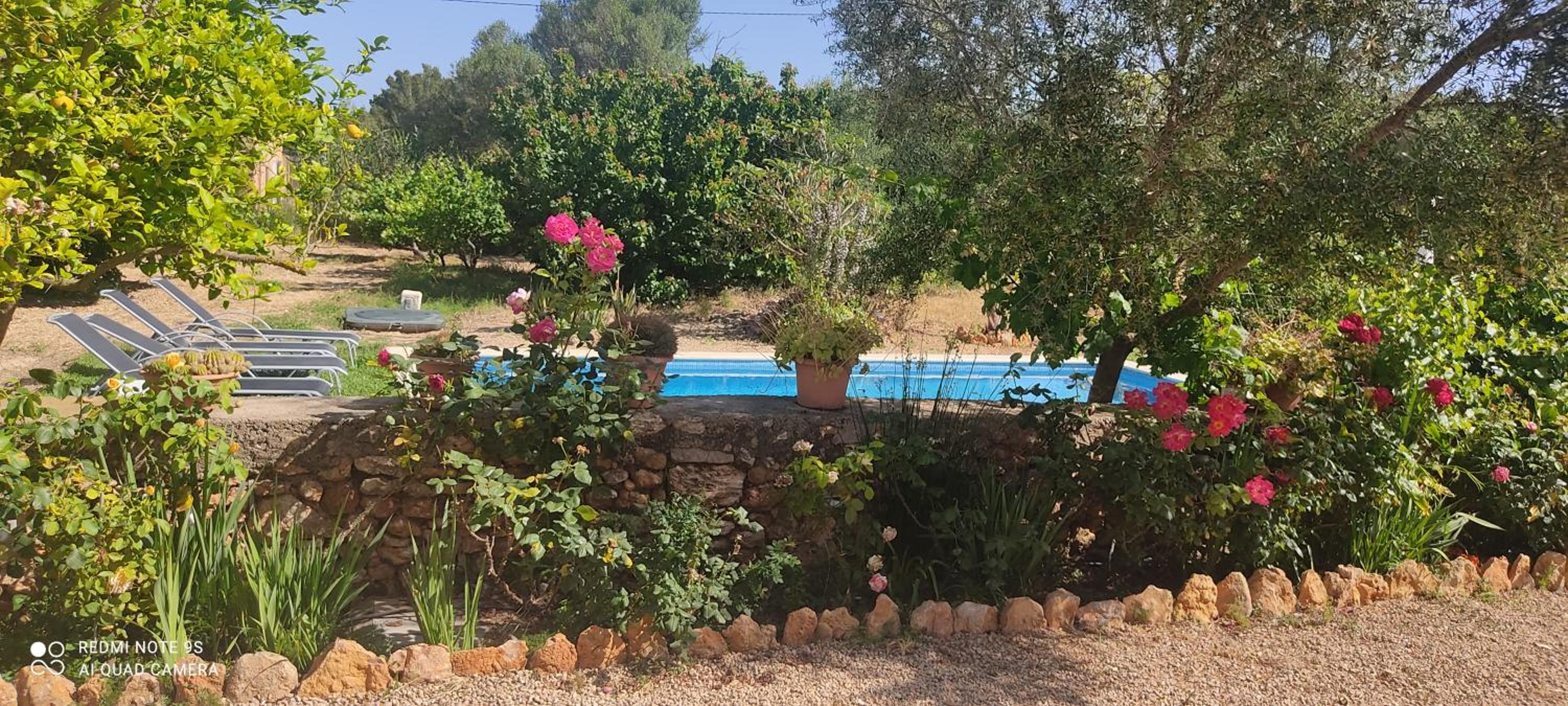 Casa Can Boletar view 3
