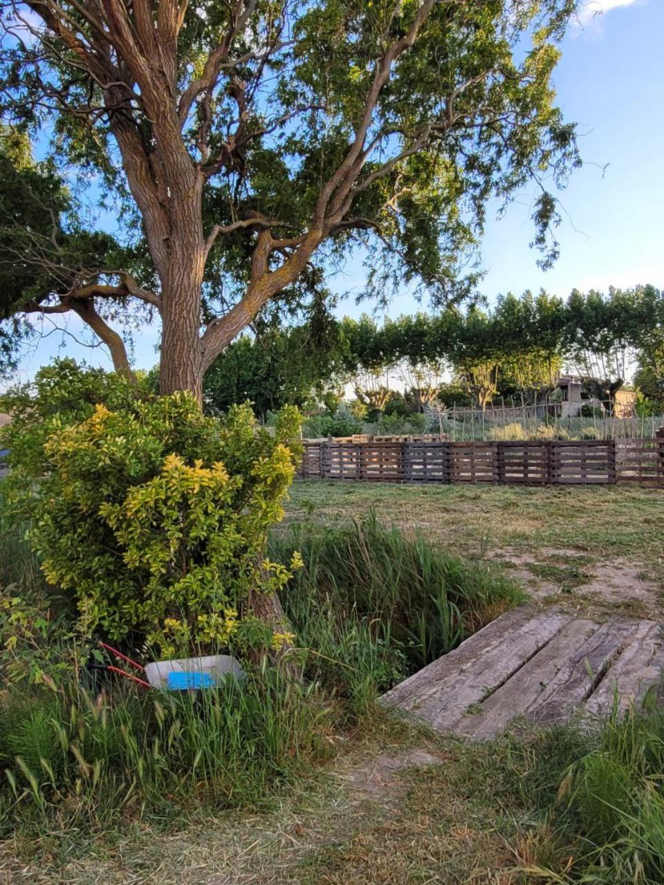 Photo 31