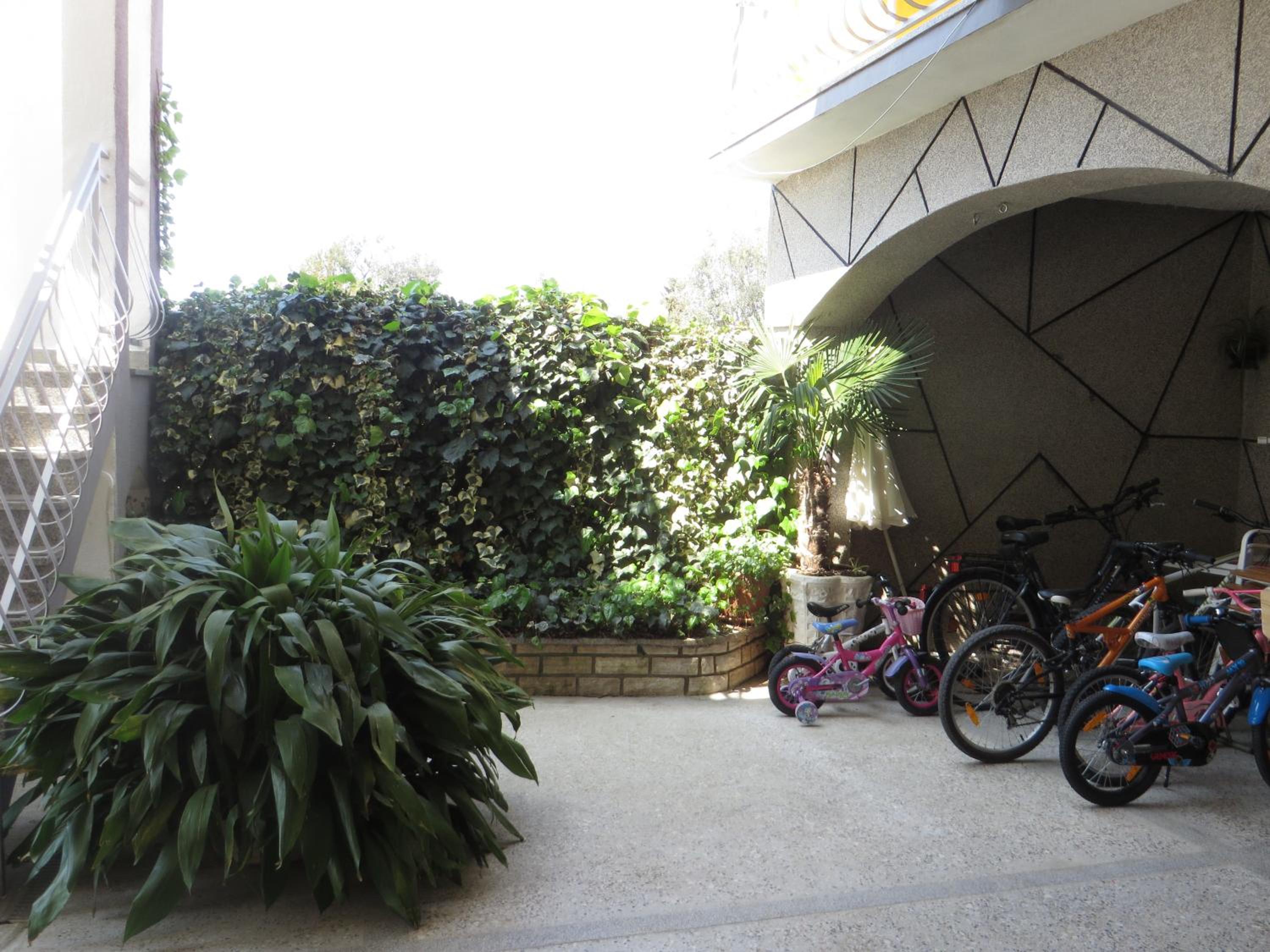 Photo 45