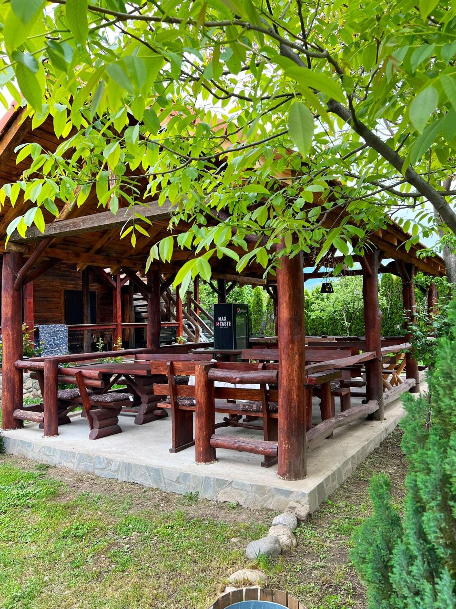 Satul Traditional view 3