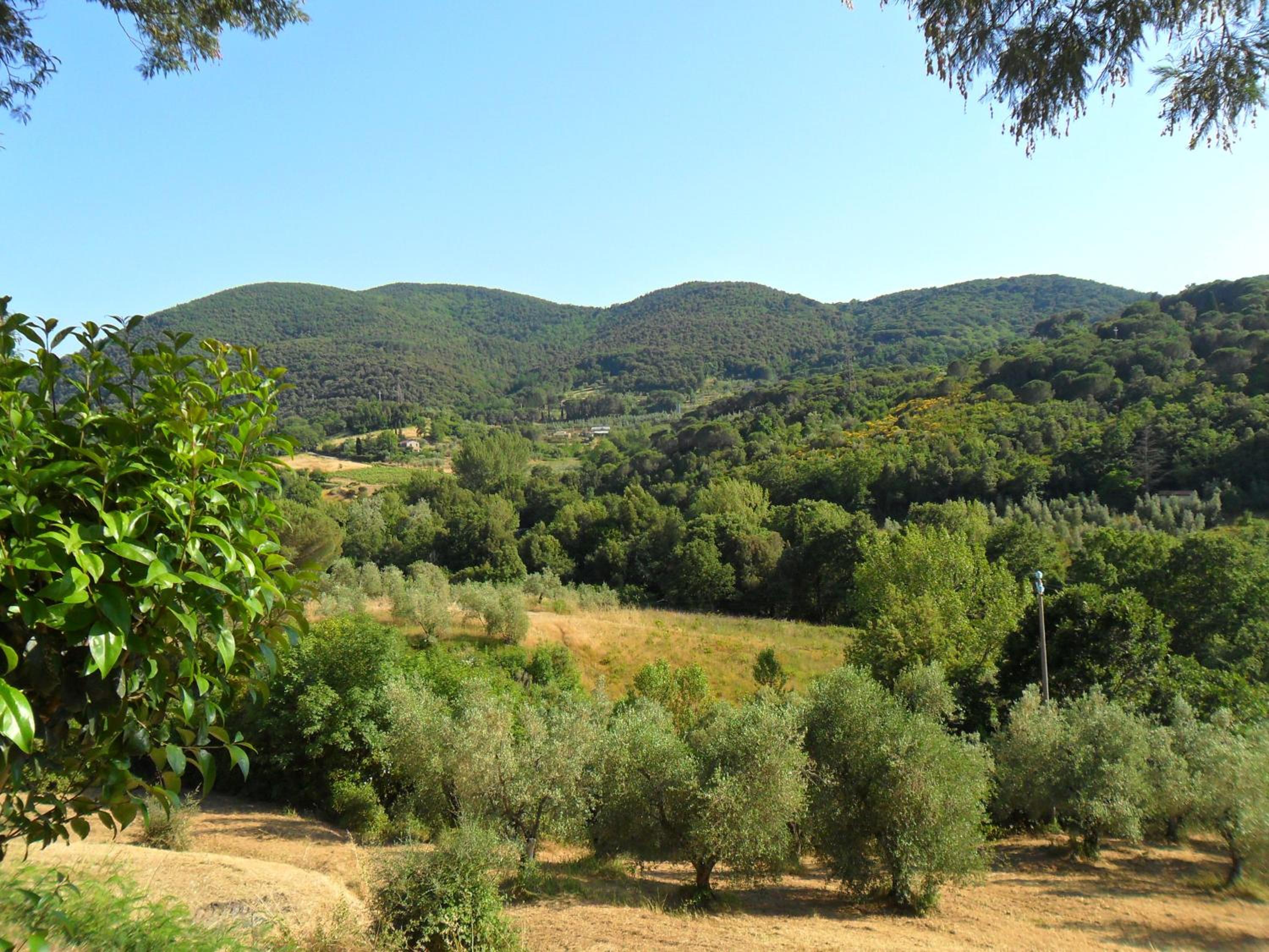 Photo 46