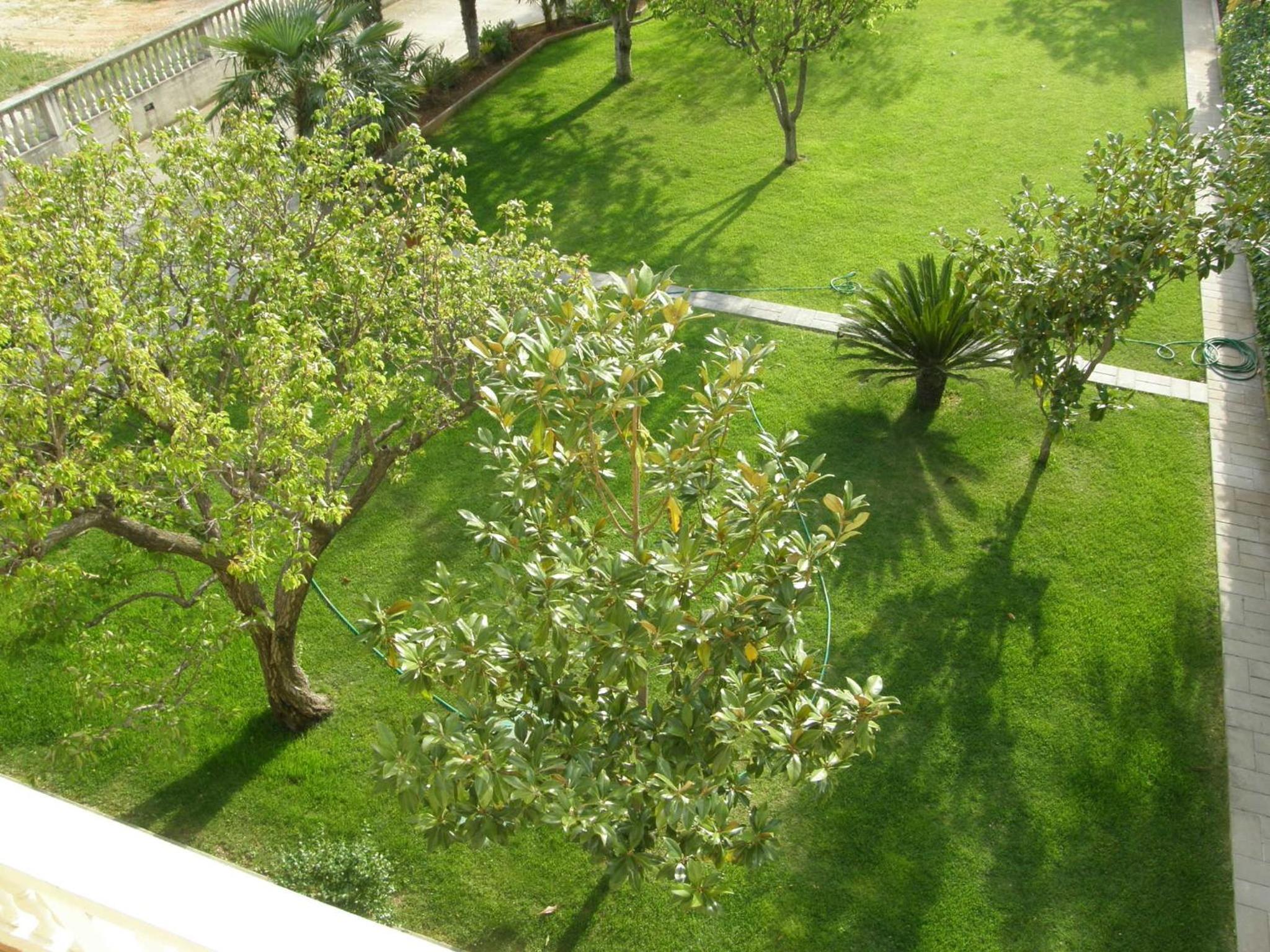 Photo 27
