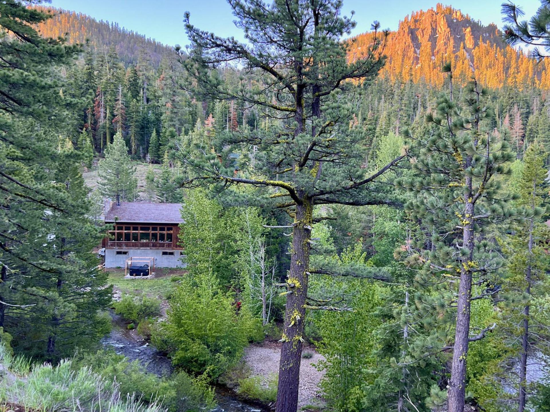 Bearadise, the Alpine Chalet - Property Image 40