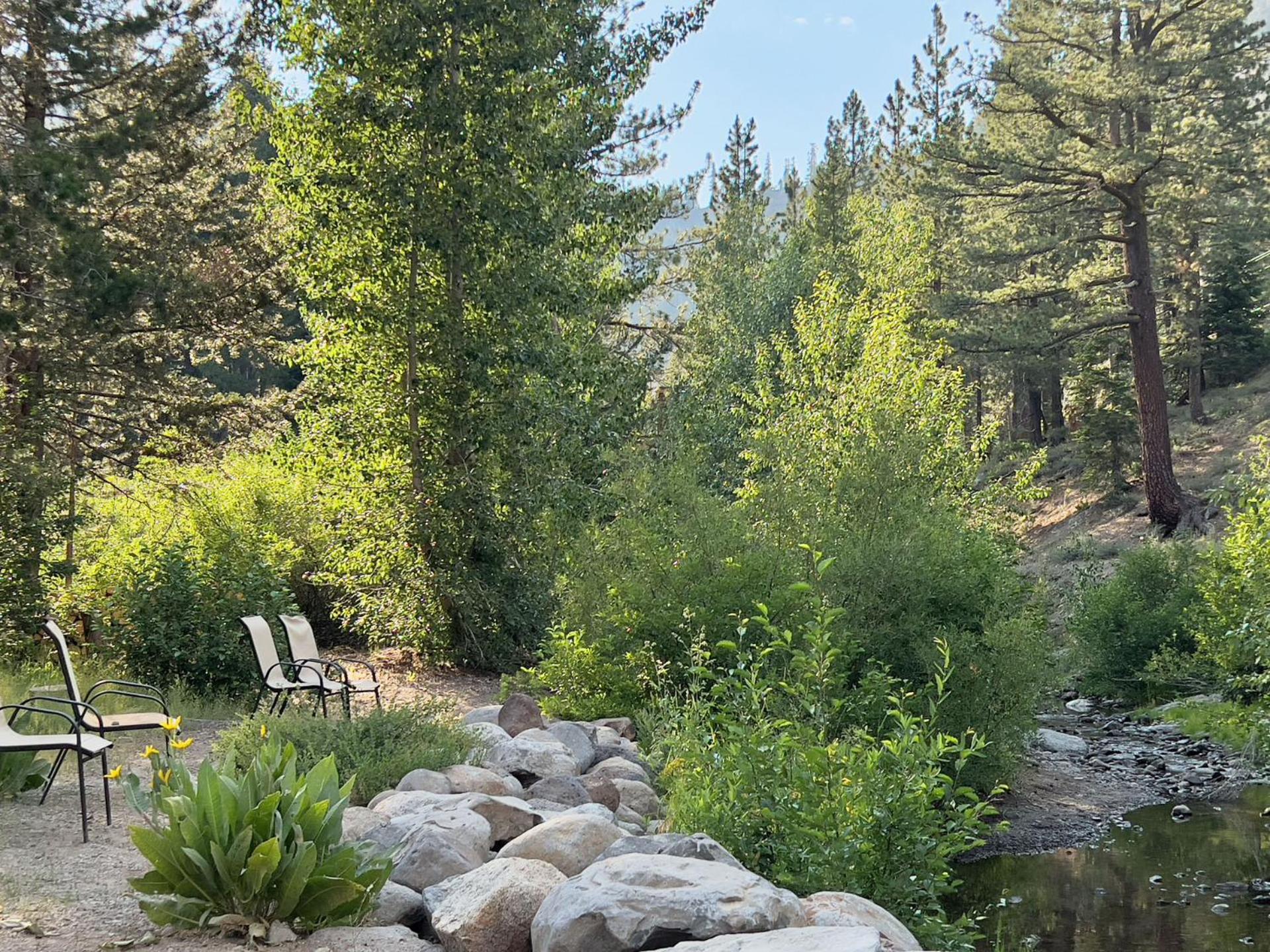 Bearadise, the Alpine Chalet - Property Image 39