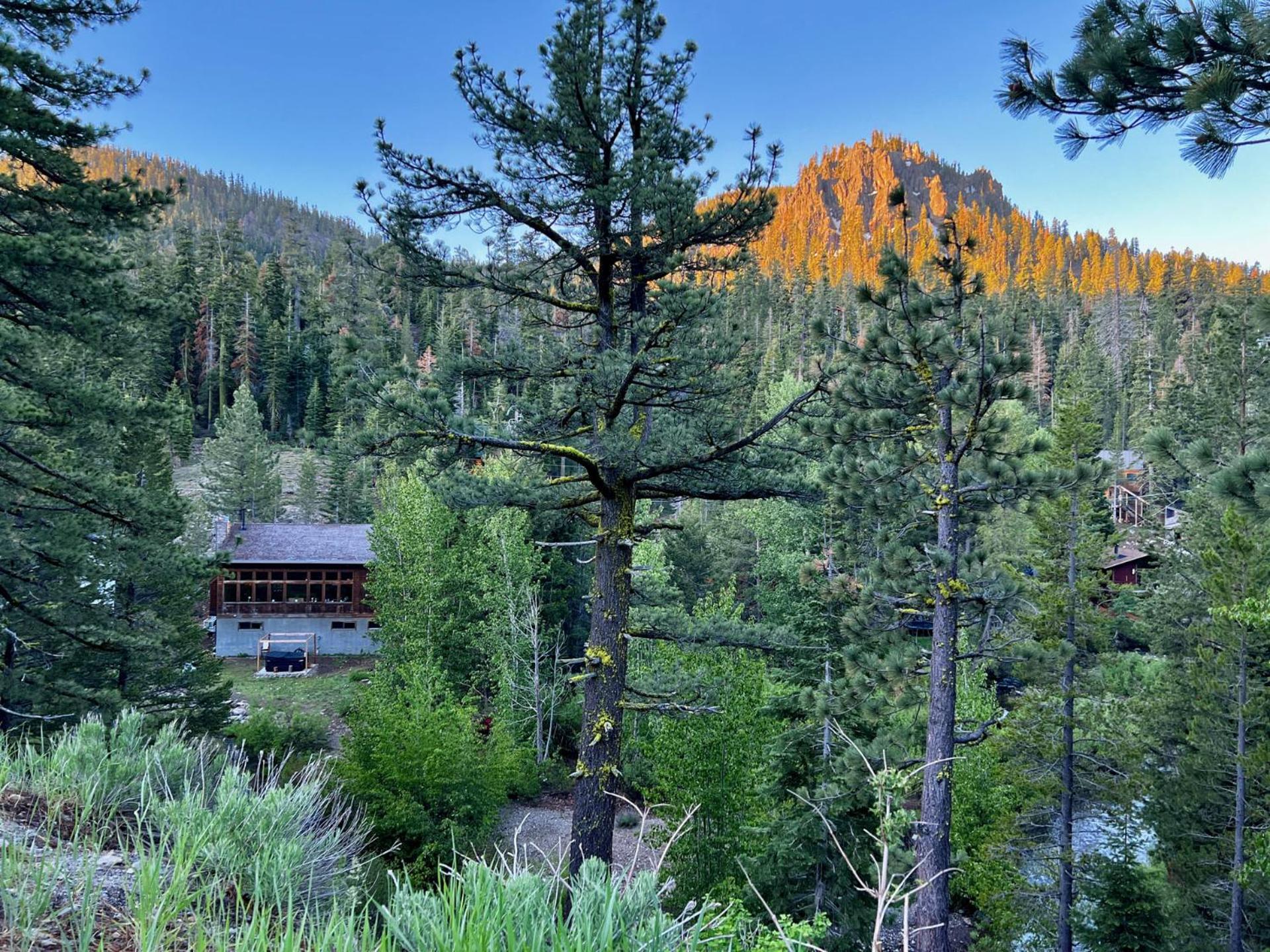 Bearadise, the Alpine Chalet - Property Image 80