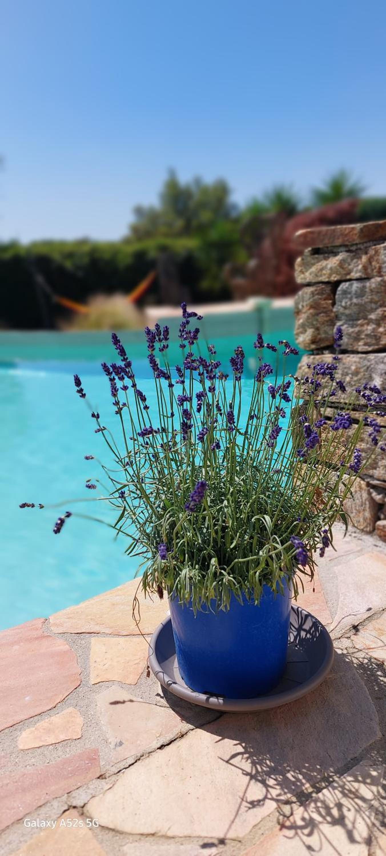 Hotel Villa des Delices