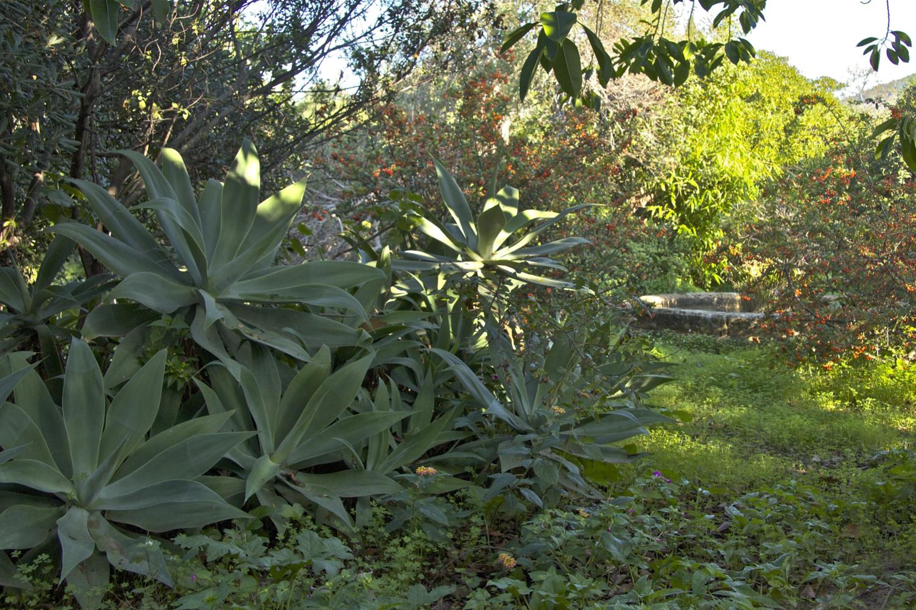 Photo 41