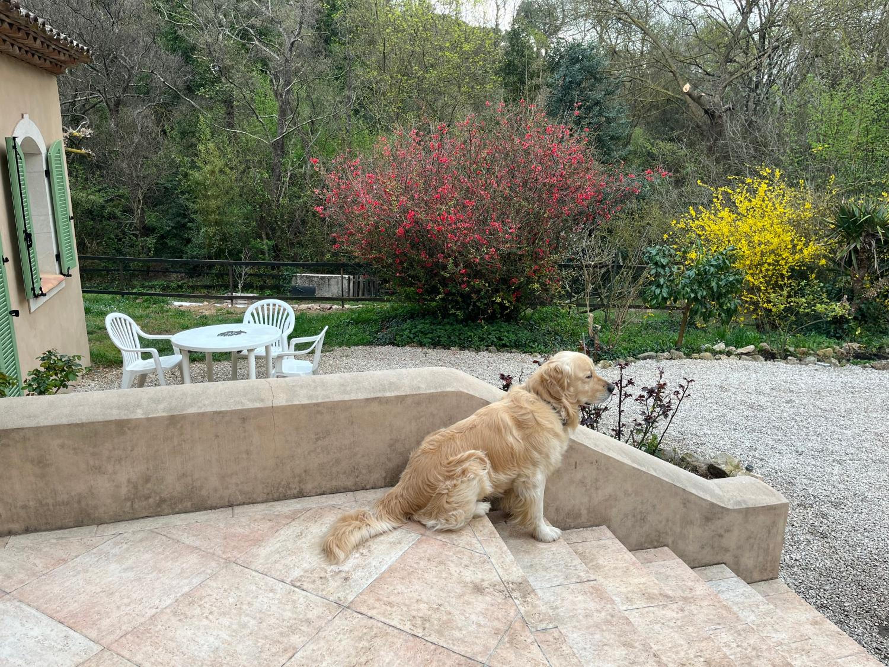 Bastide Du Maoupas Gîtes view 4